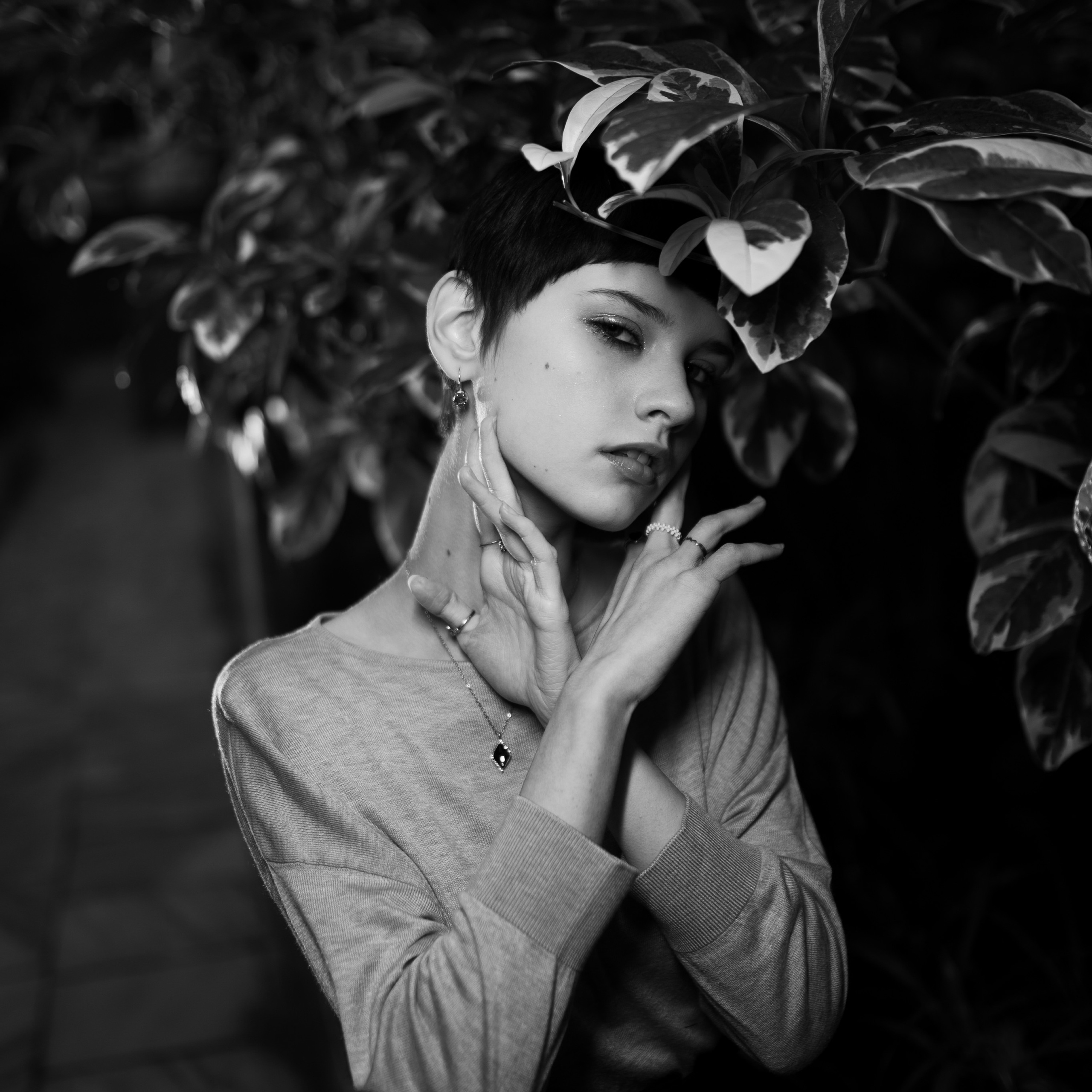 Поэзия граций