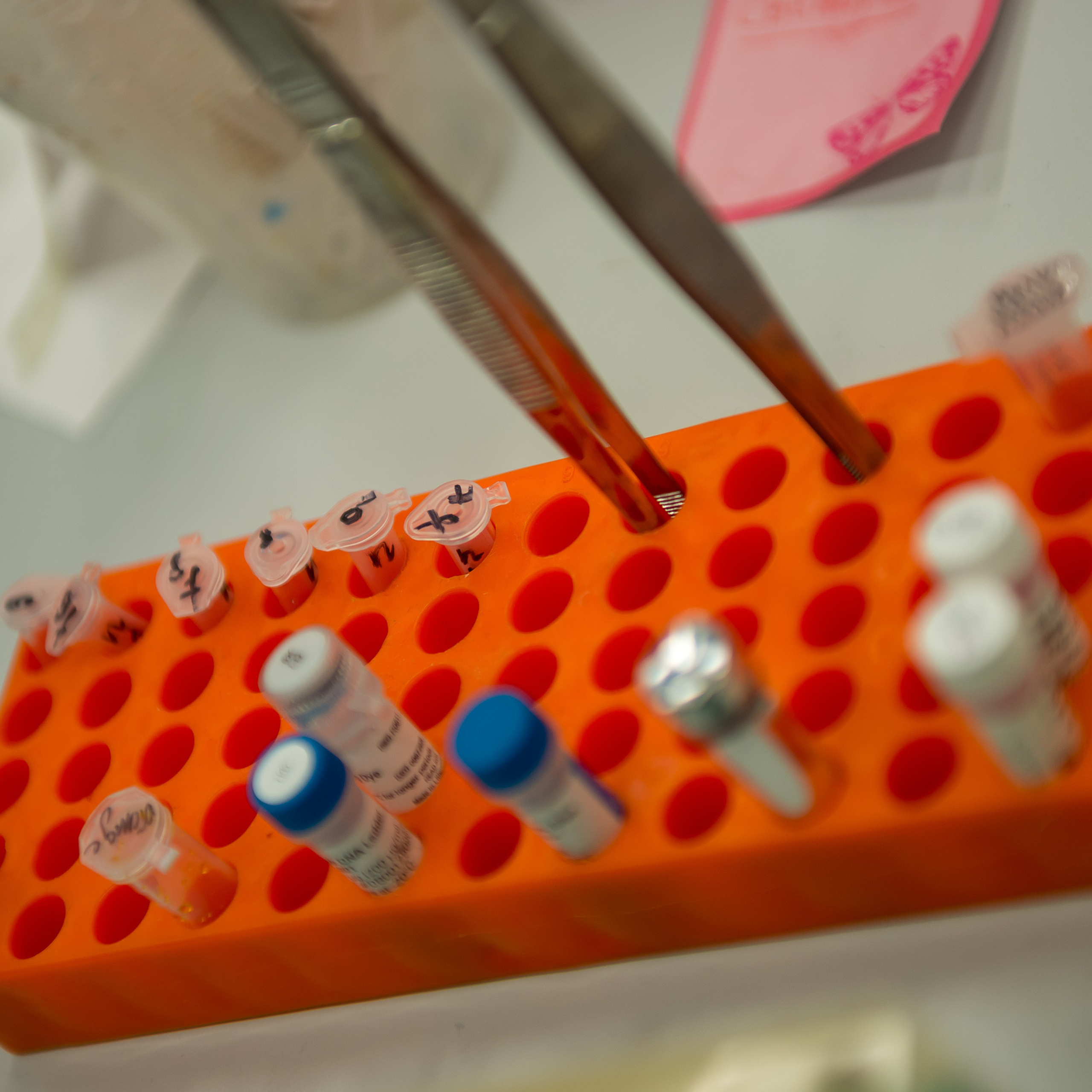 My students. Evgeny Pelevin. Photographer. Industry, reporting, weddings, portrait