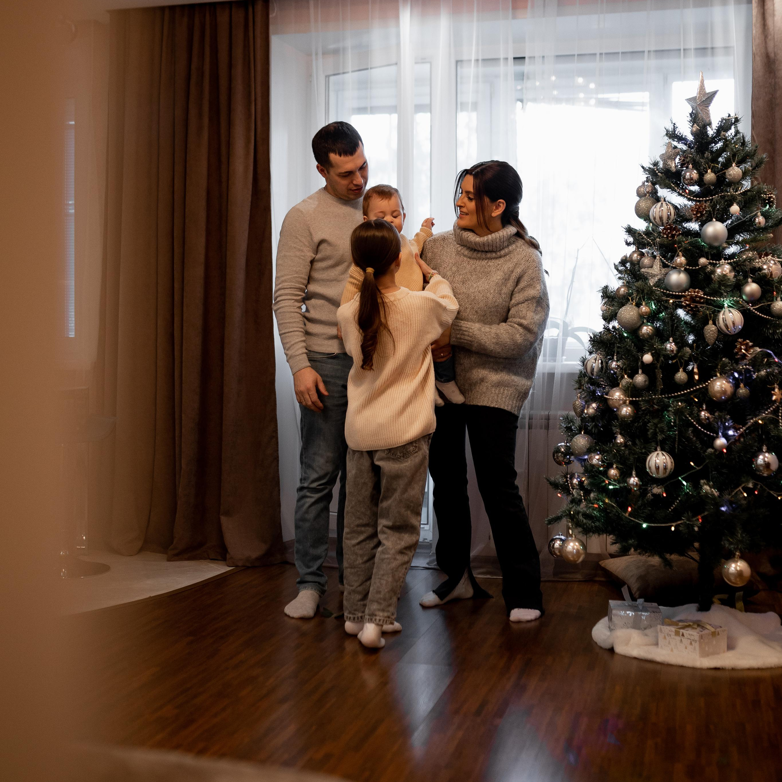 Домашняя новогодняя