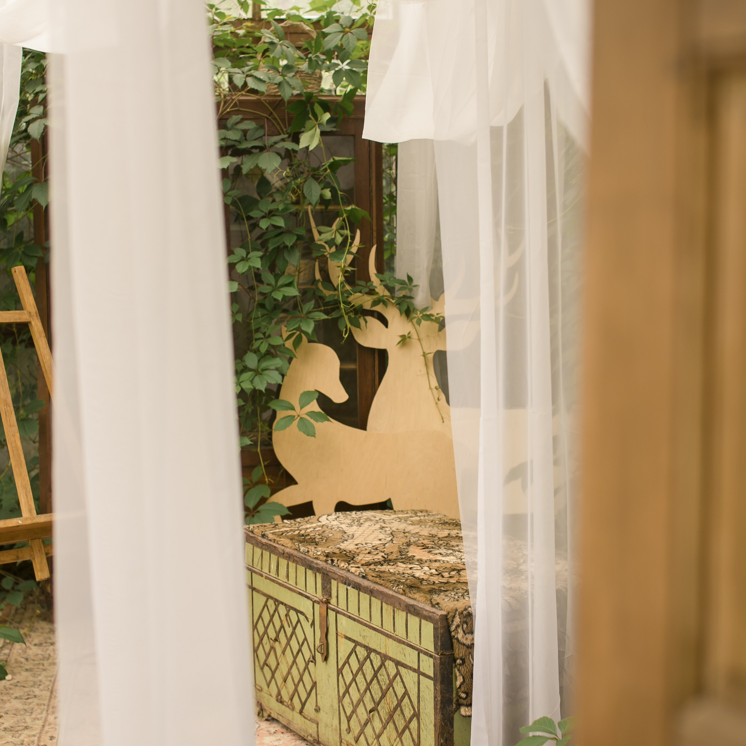 Фотодача. Семейный фотограф в Москве Домодедово Московцева Алина