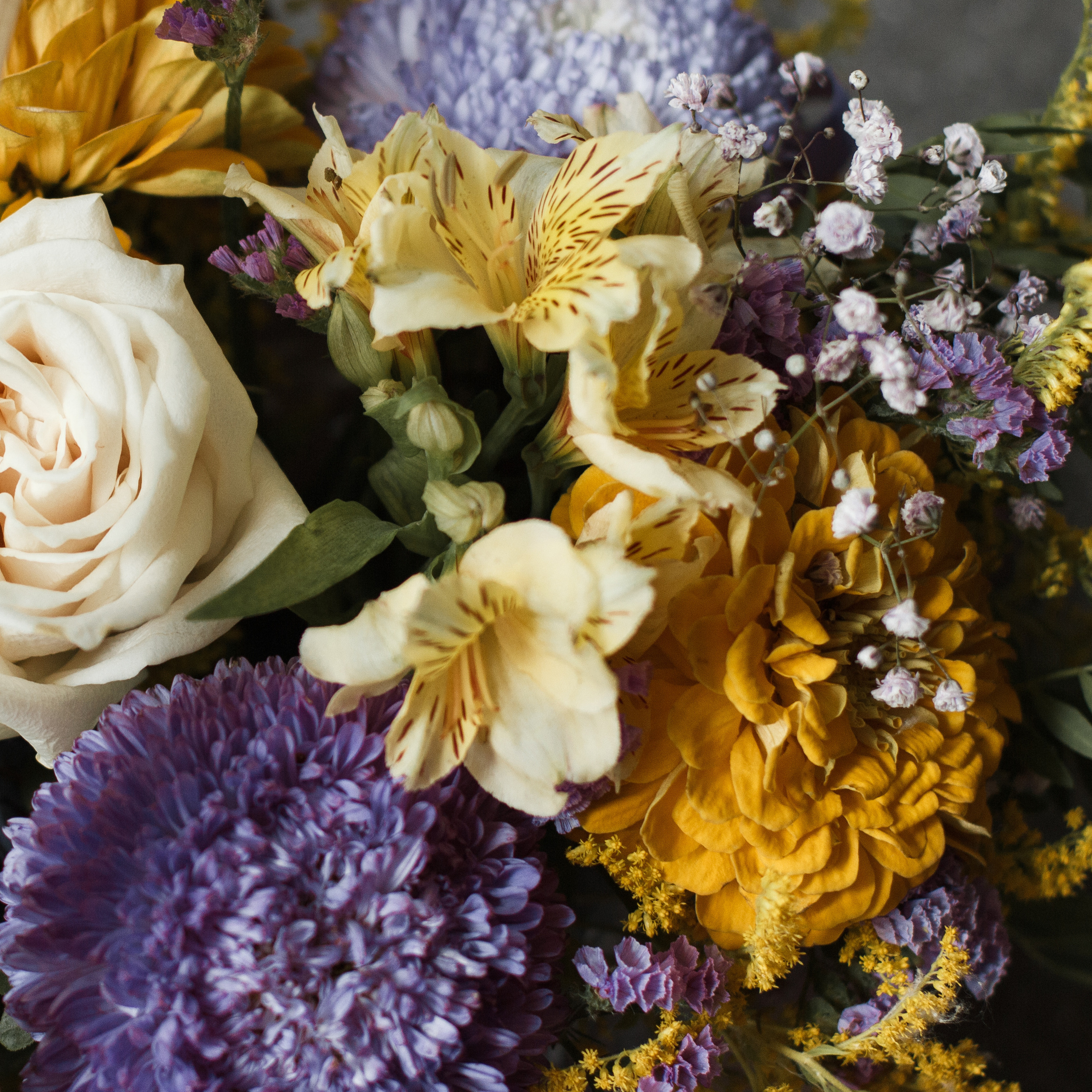 Отзывы. Контентный фотограф в Перми Натали Кытманова