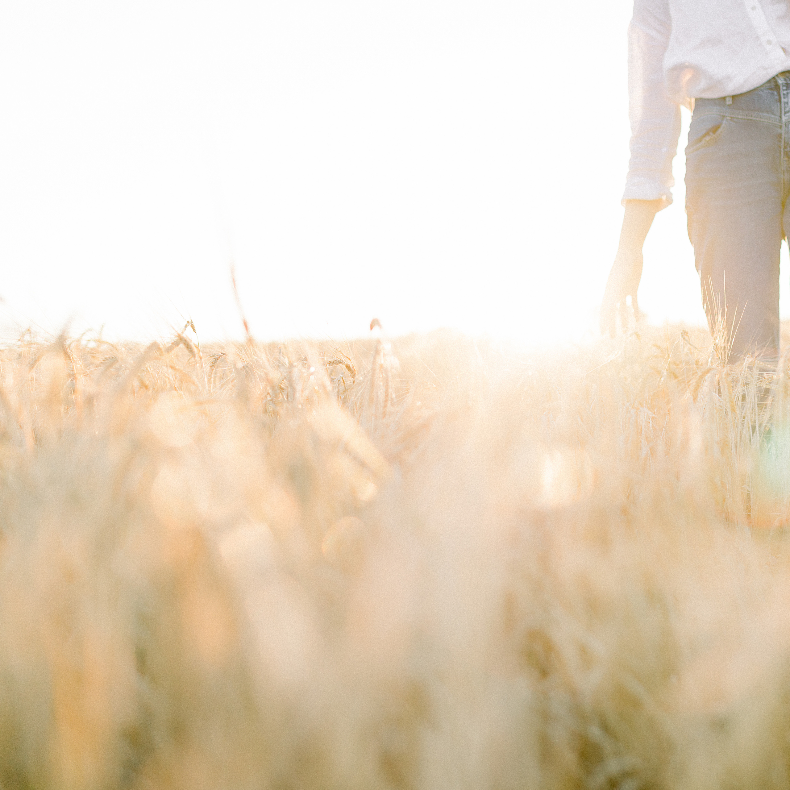 Про лето в поле. Лена Крутова. Фотограф в Москве