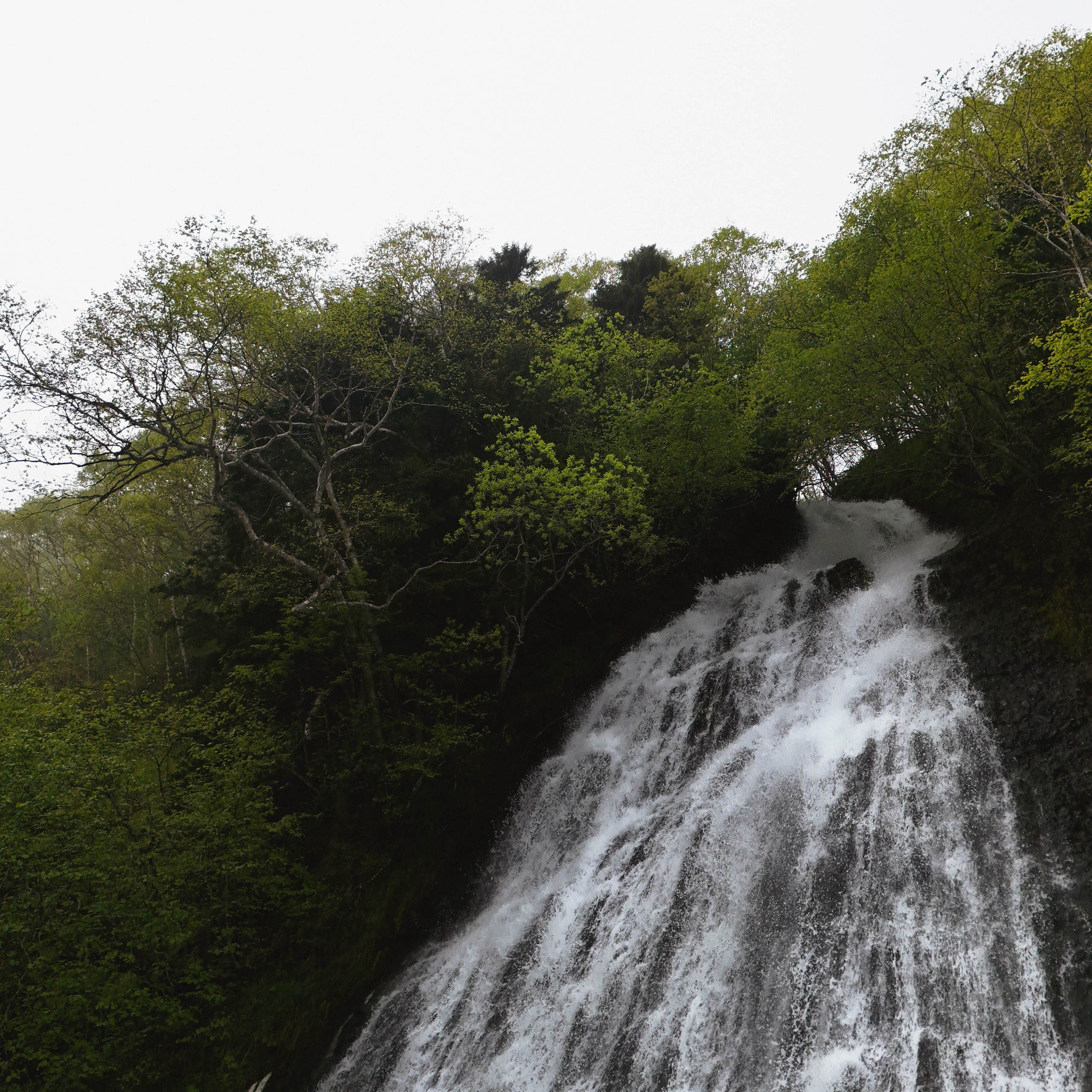 Сахалин + Итуруп