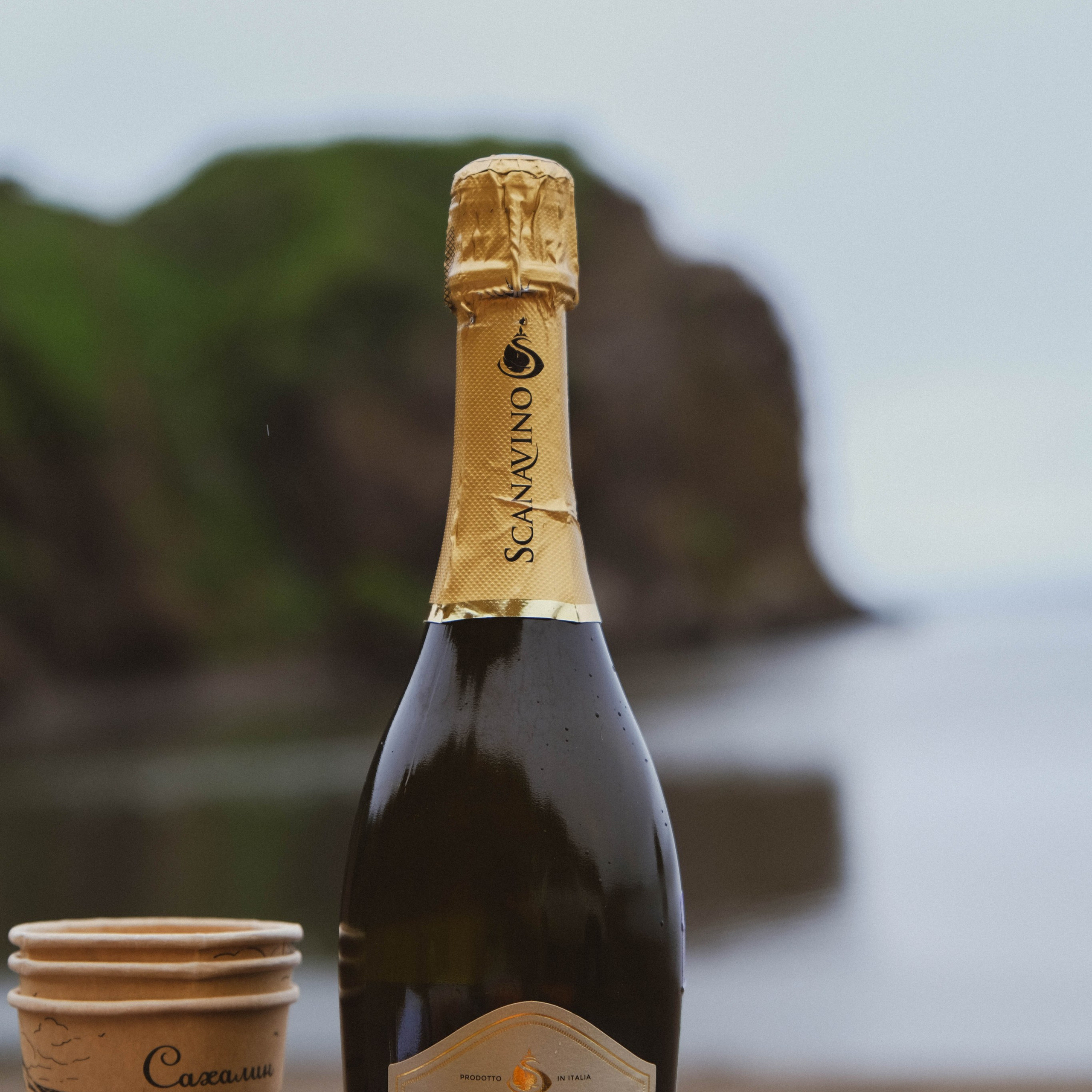 Сахалин + Итуруп