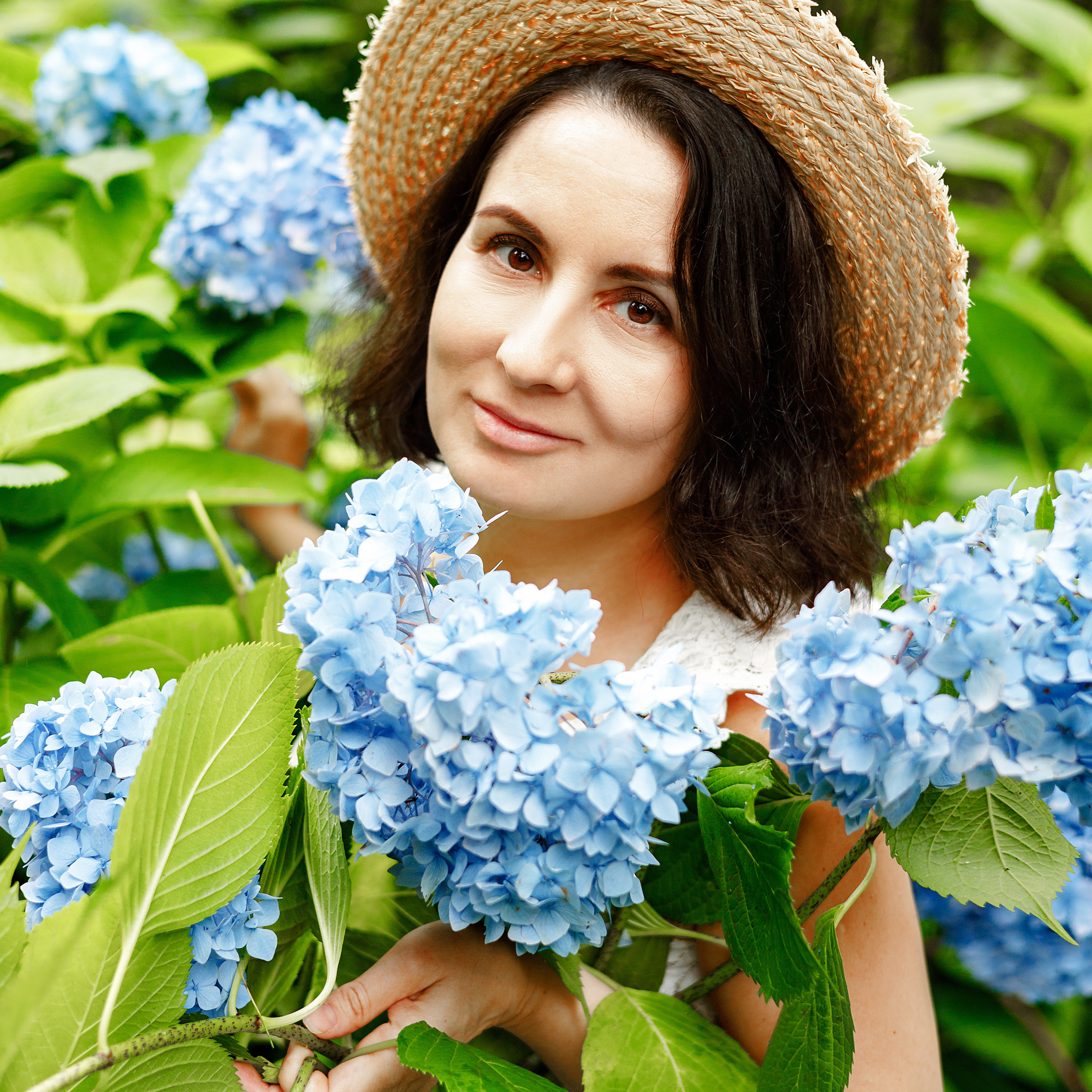 мечта и гортензии