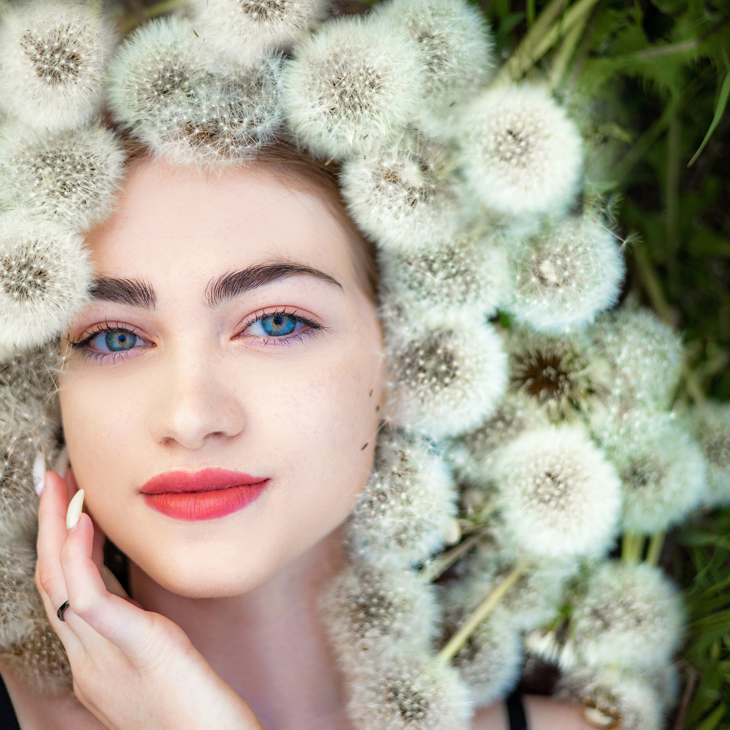 пушистая история