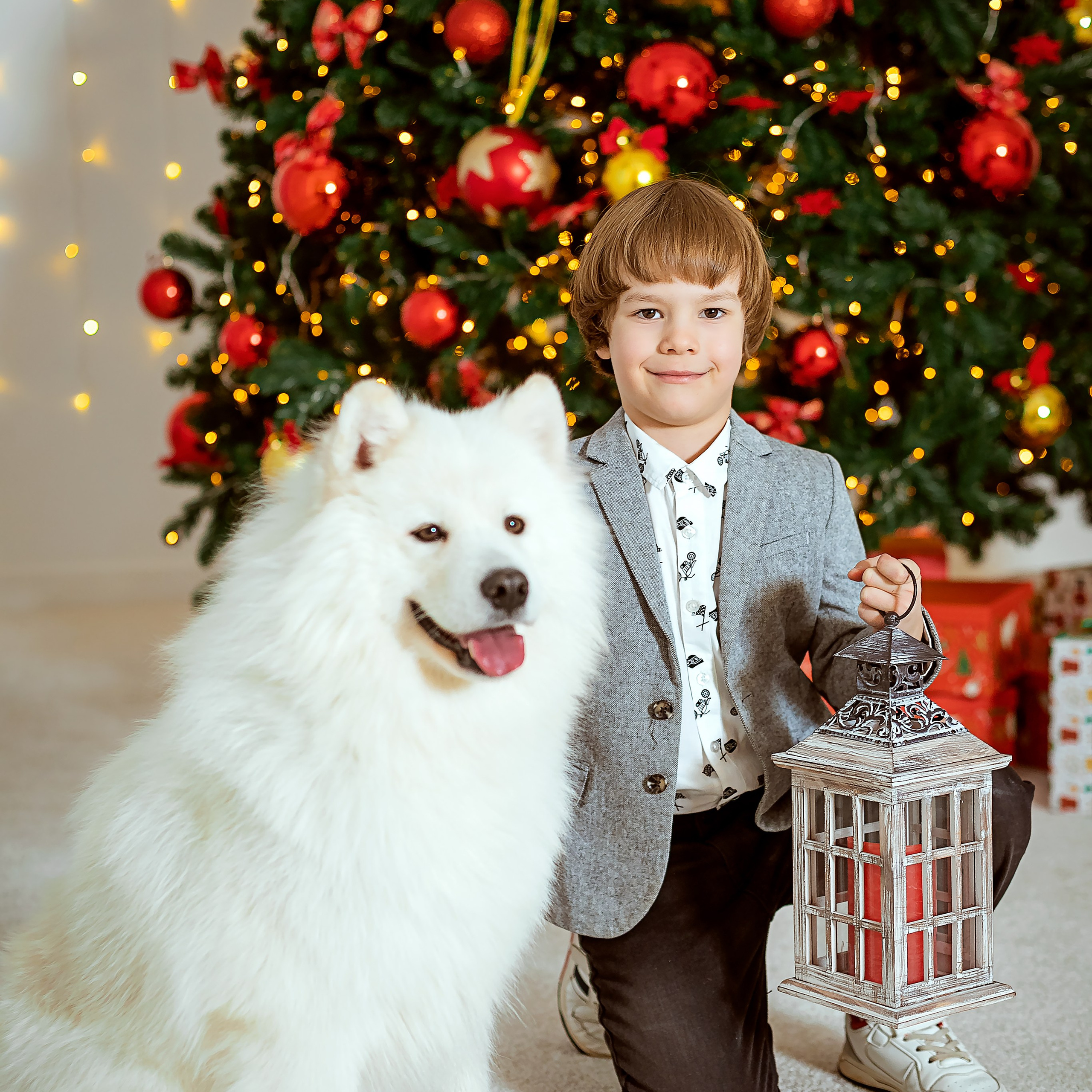 Татьяна с семьёй и собачки. Семейный фотограф Пермь Тимофеева Ольга