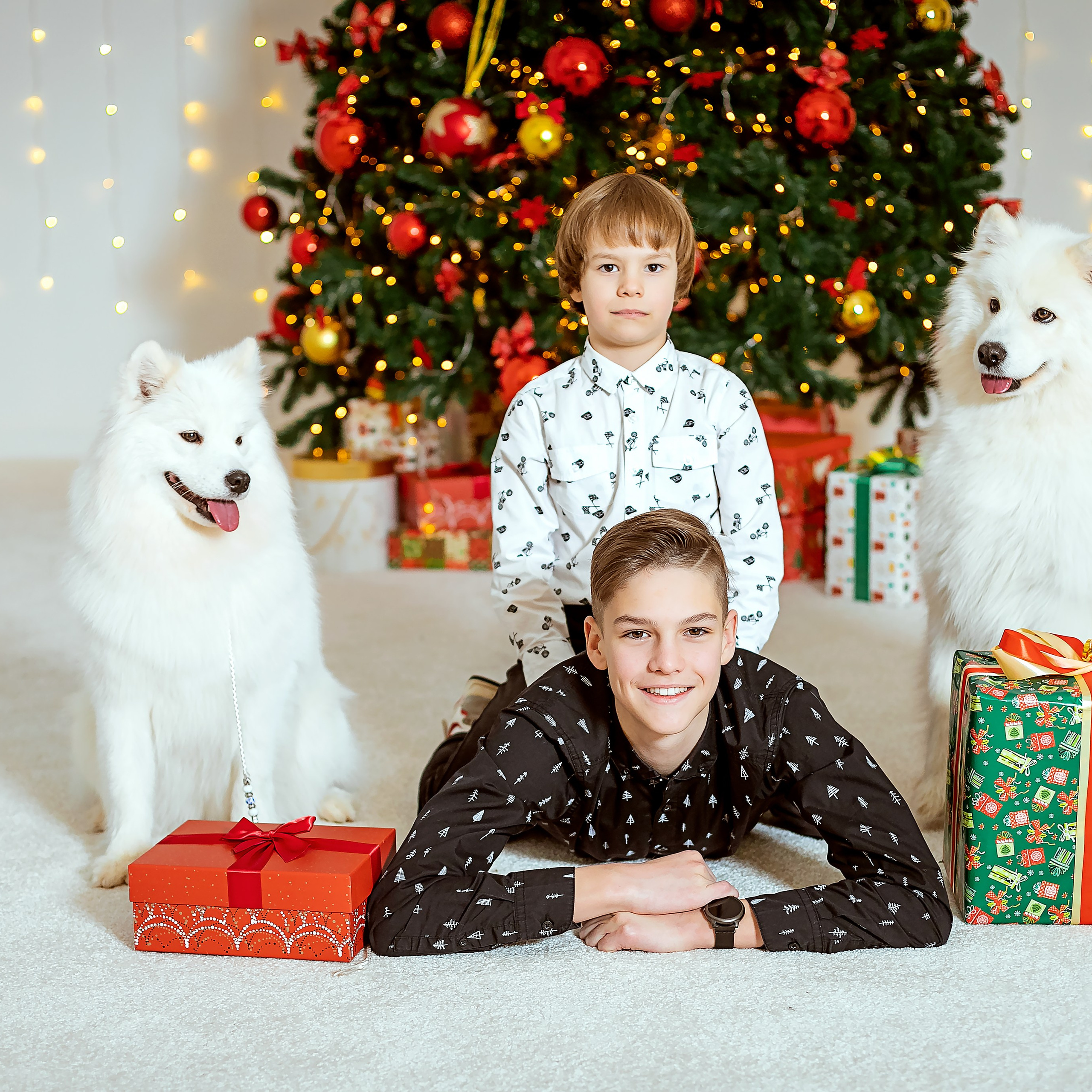 Татьяна с семьёй и собачки. Семейный фотограф Пермь Тимофеева Ольга
