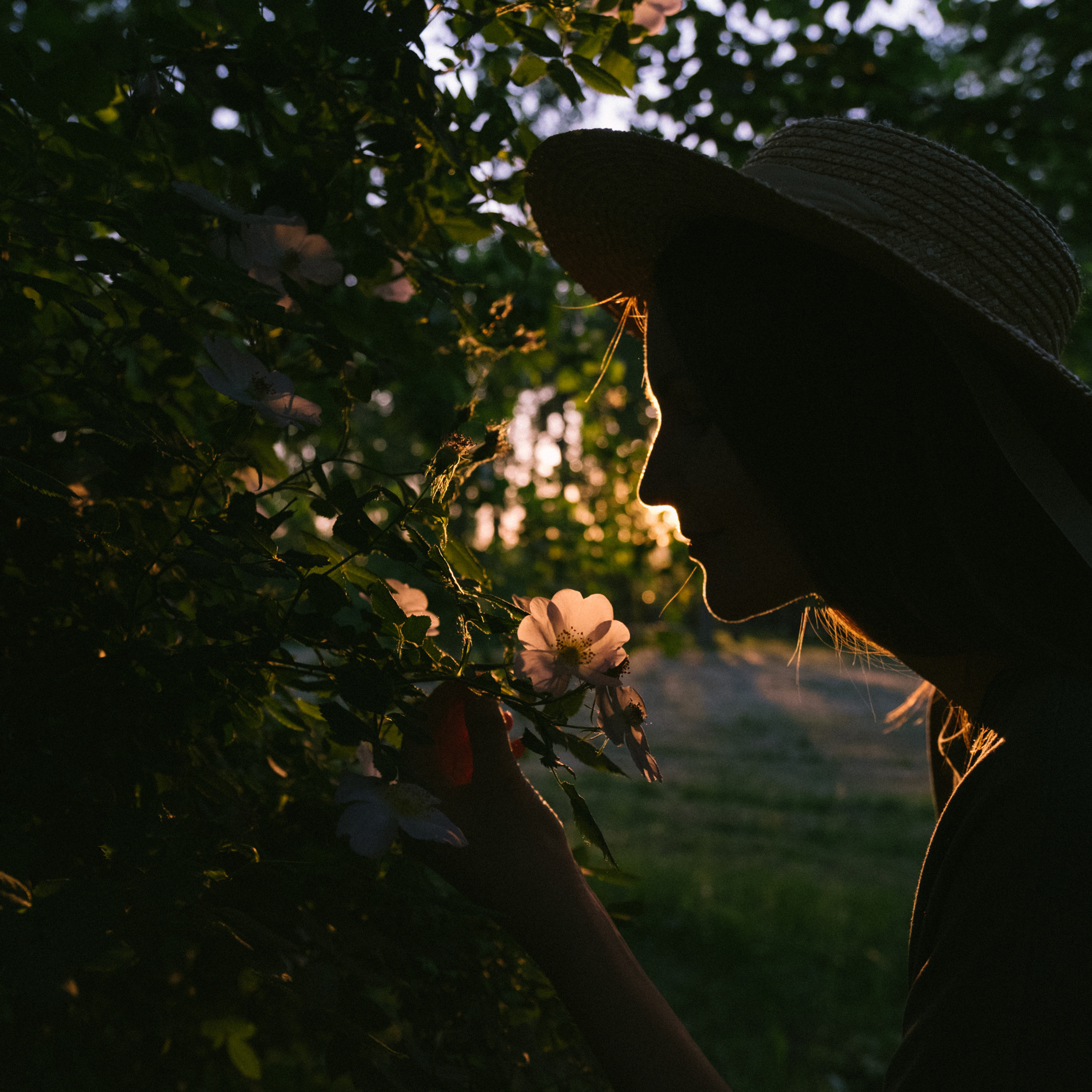 Отзывы фотографа Баженовой Юлии. Свадебный и семейный фотограф в Краснодаре