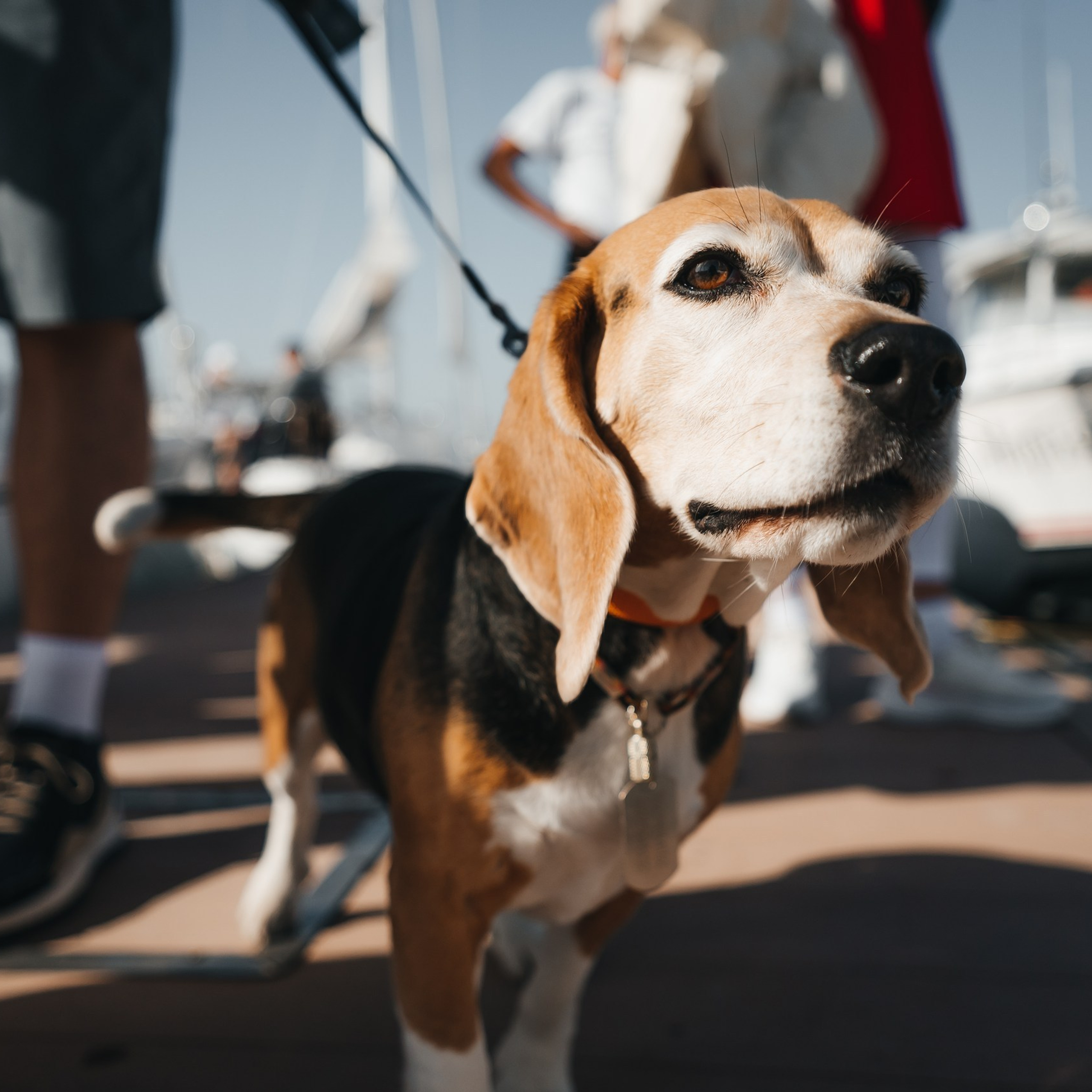 Отзывы. Фотограф Илья Бызов, Свадебный и репортажный фотограф Сочи