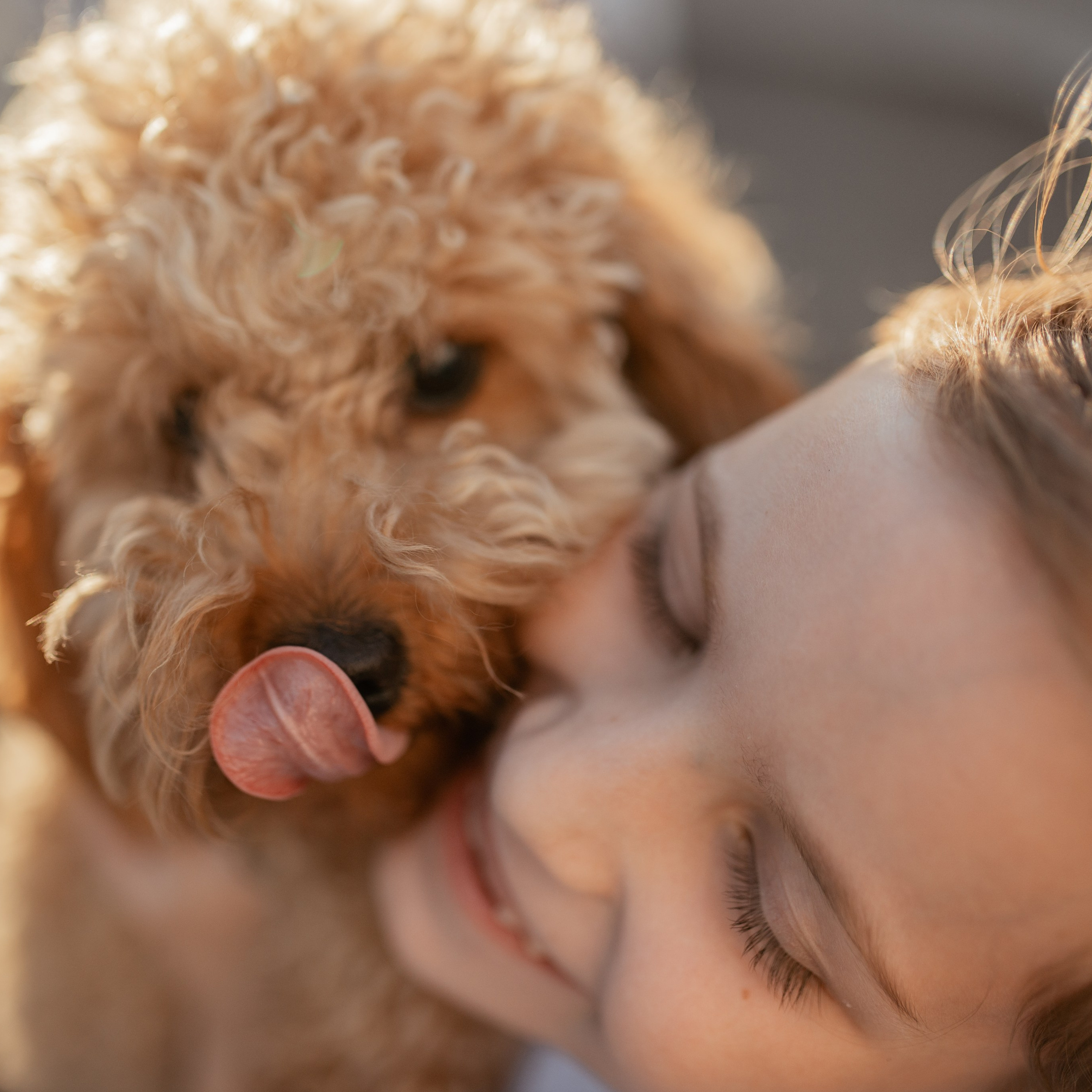 Семейная прогулка с питомцем