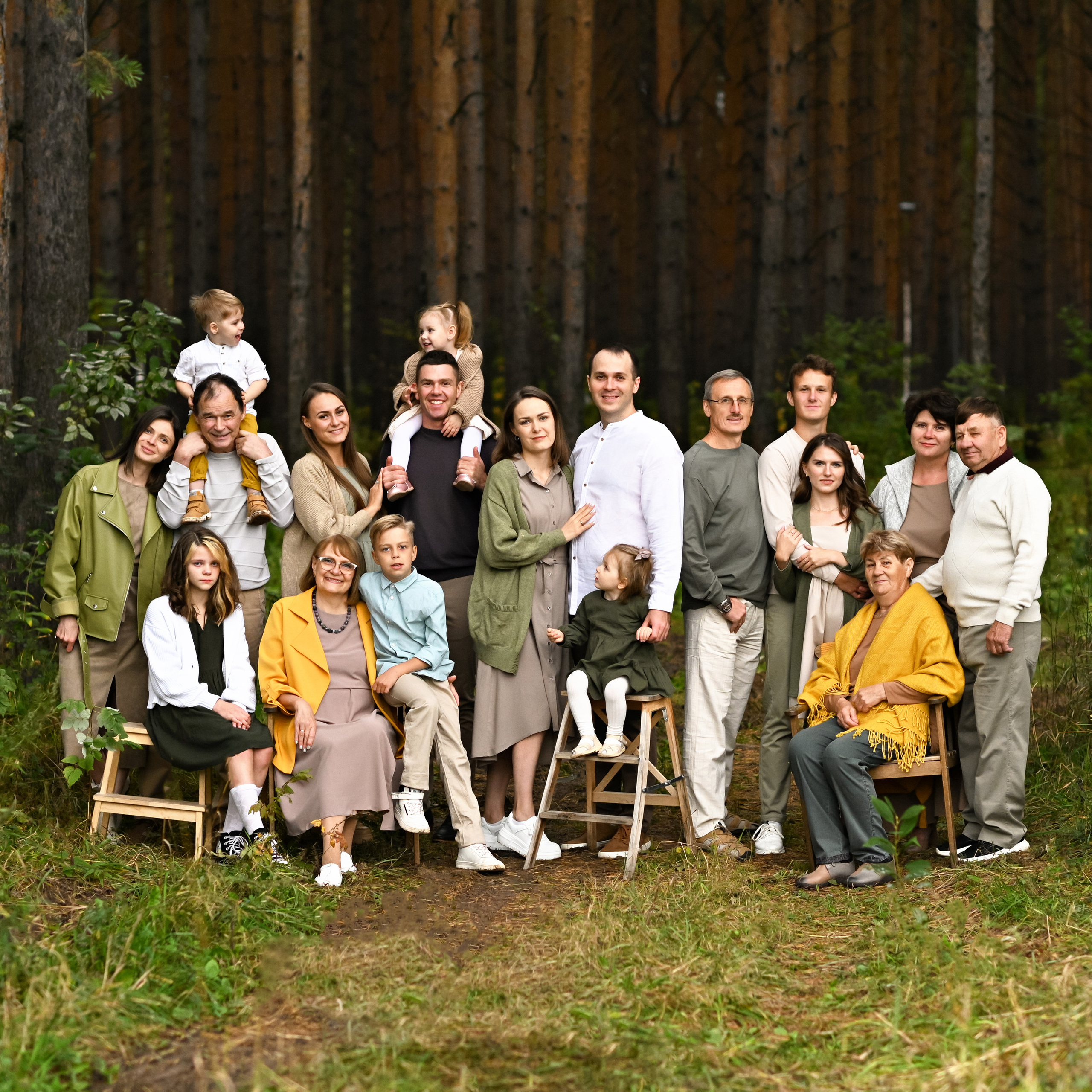 В сосновом бору