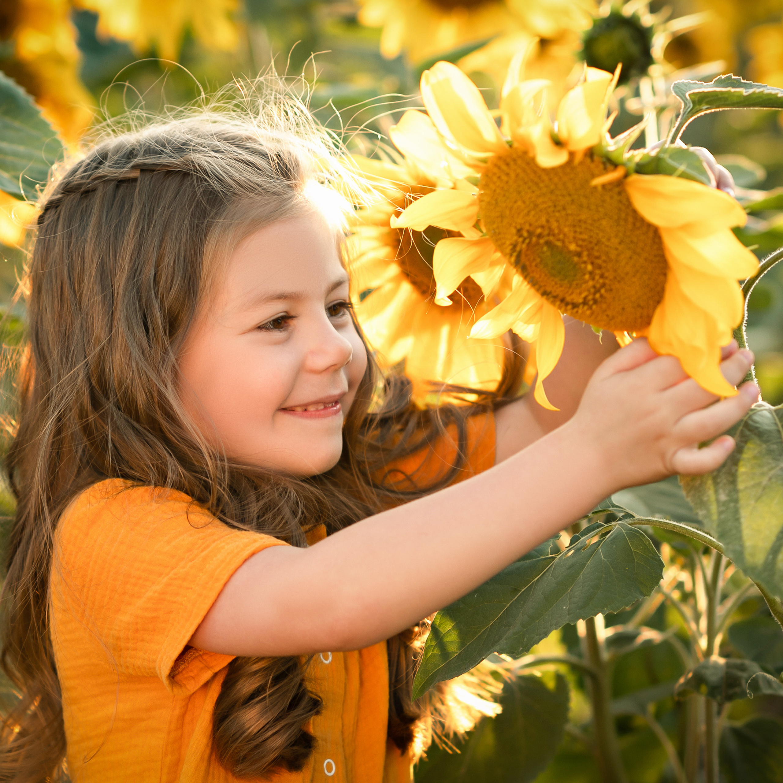 Солнечное настроение