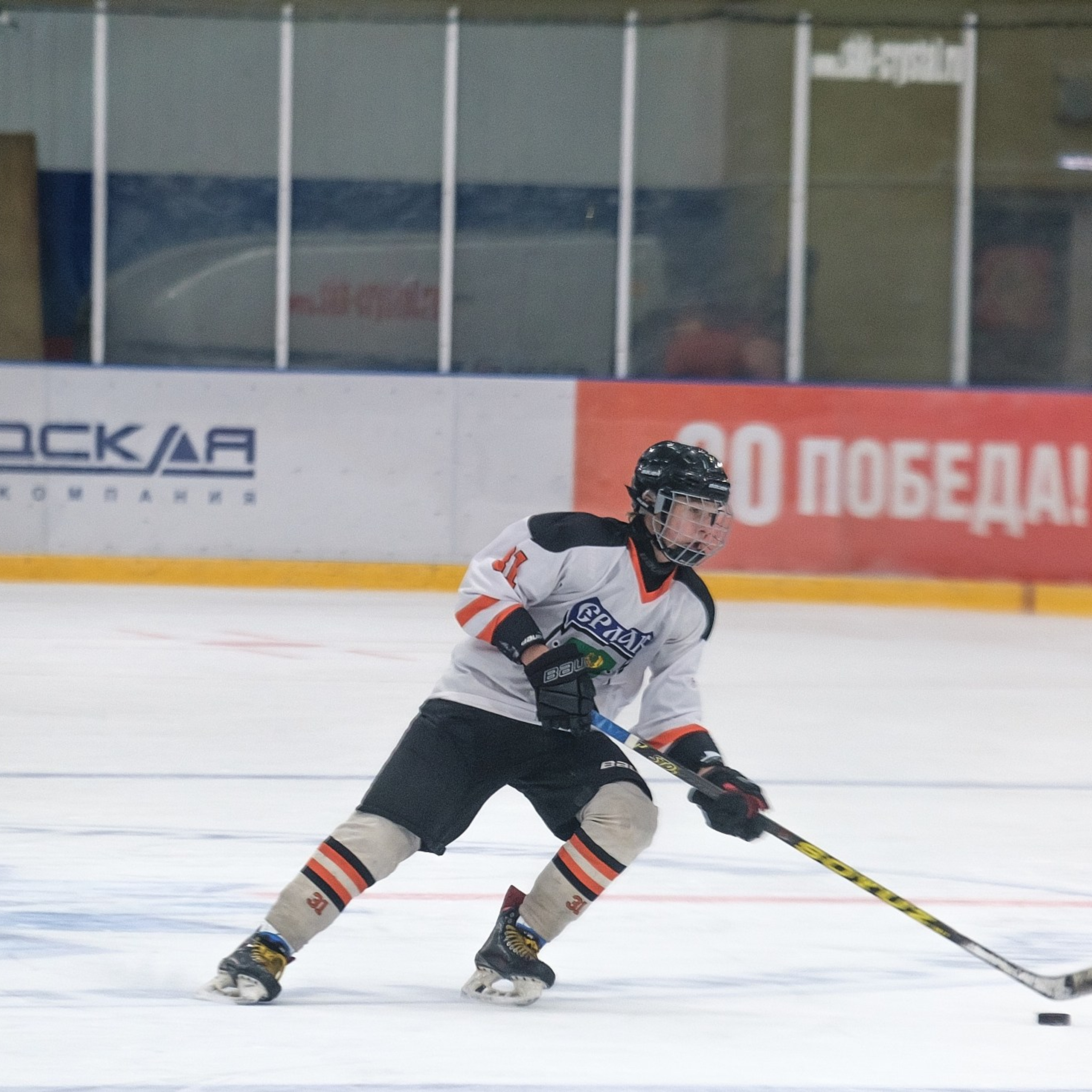 Хоккейный матч Вымпел-2011 vs Ермак