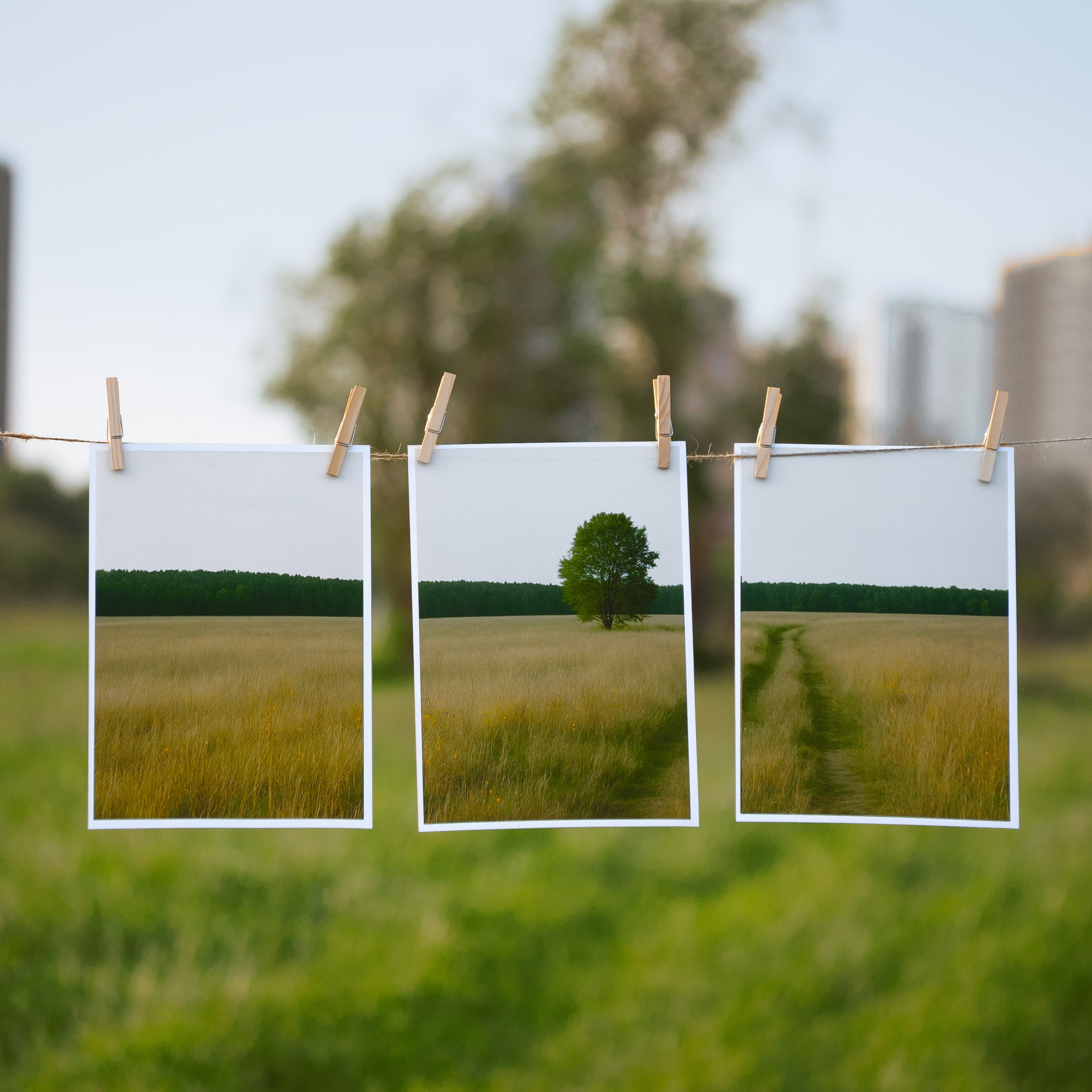 «Экспозиция тишины»