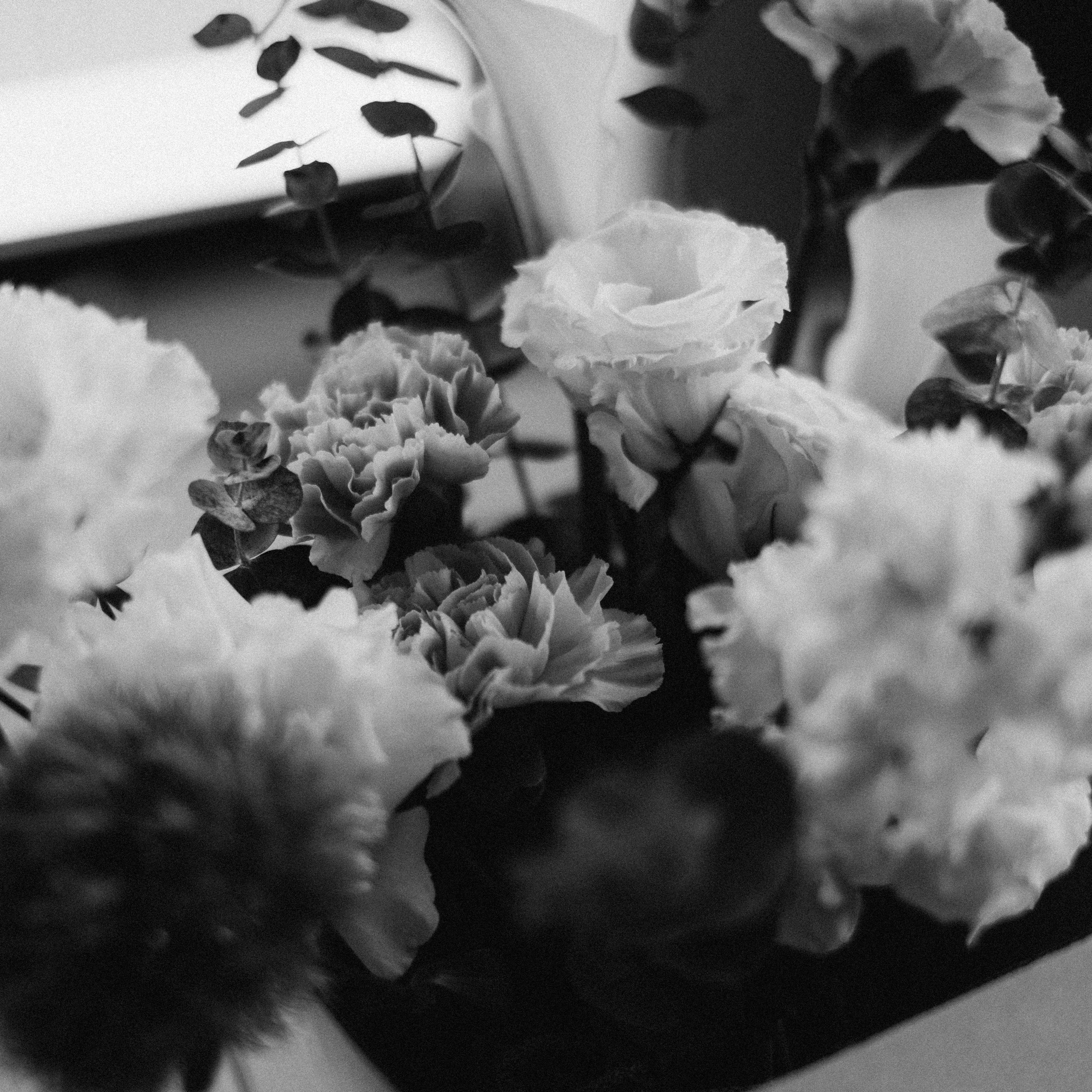 Отзывы. Daria Chigintseva Photographer