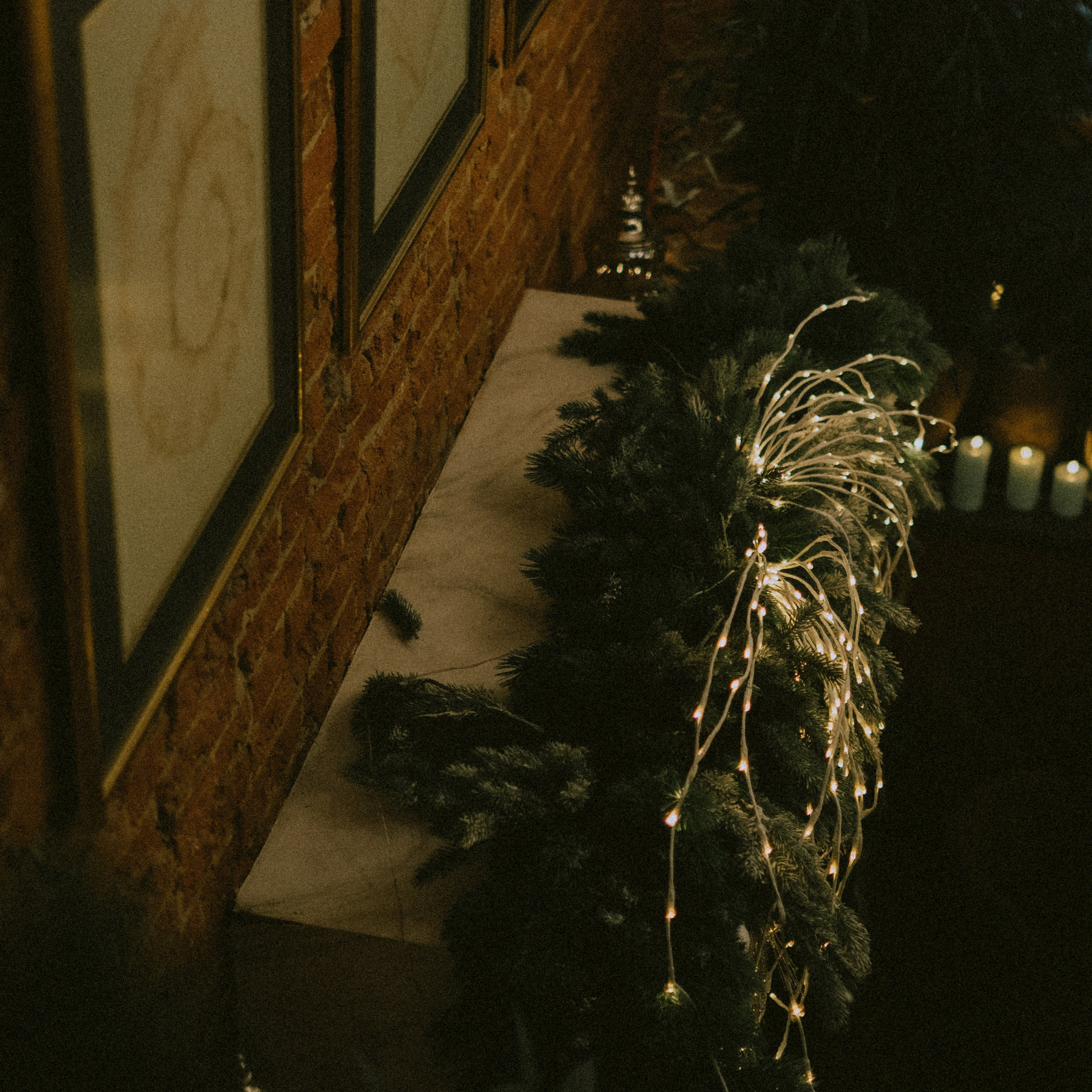 Отзывы. Daria Chigintseva Photographer