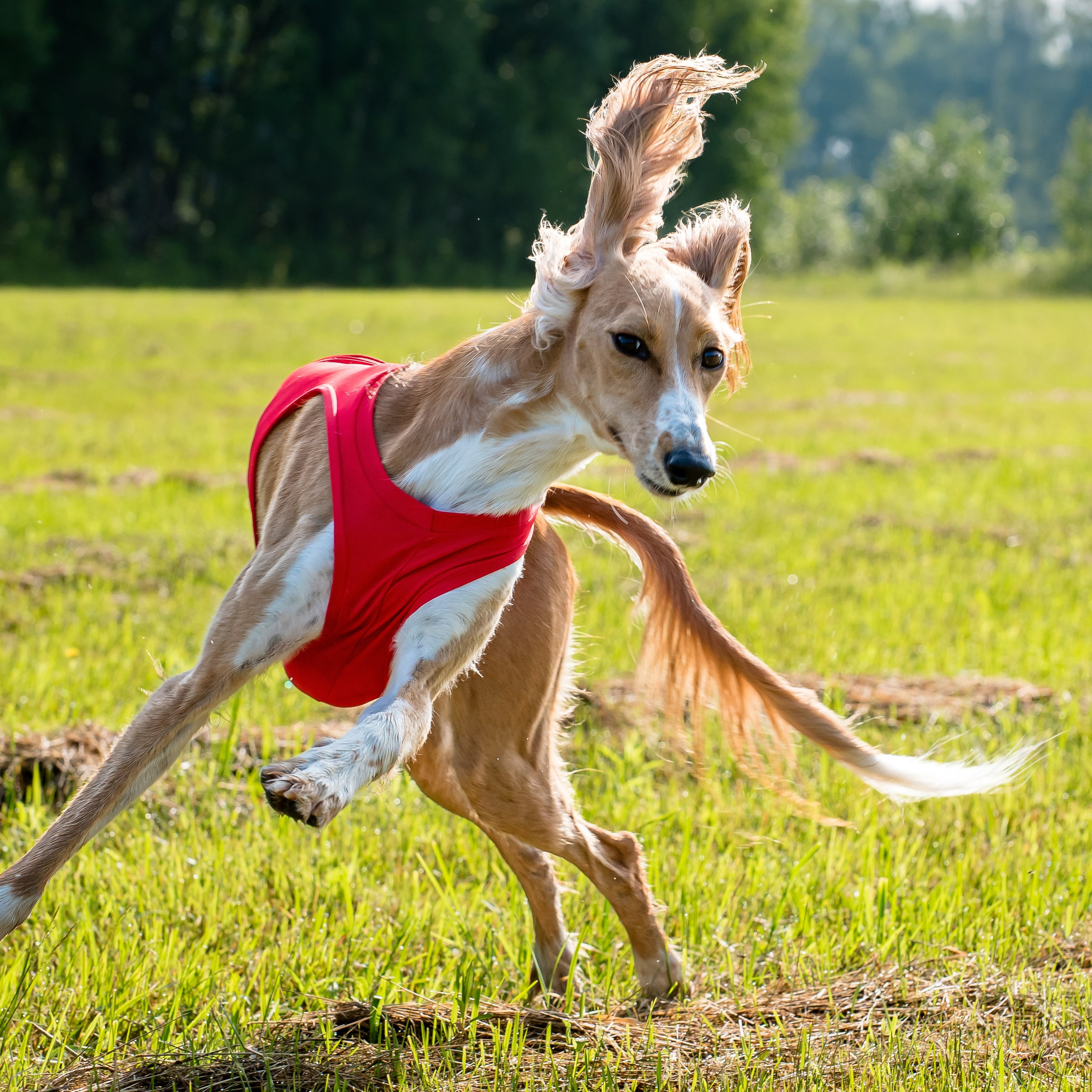 Отзывы на фотосессии съёмки. Фотограф Макс Огурцов в Нижнем Новгороде