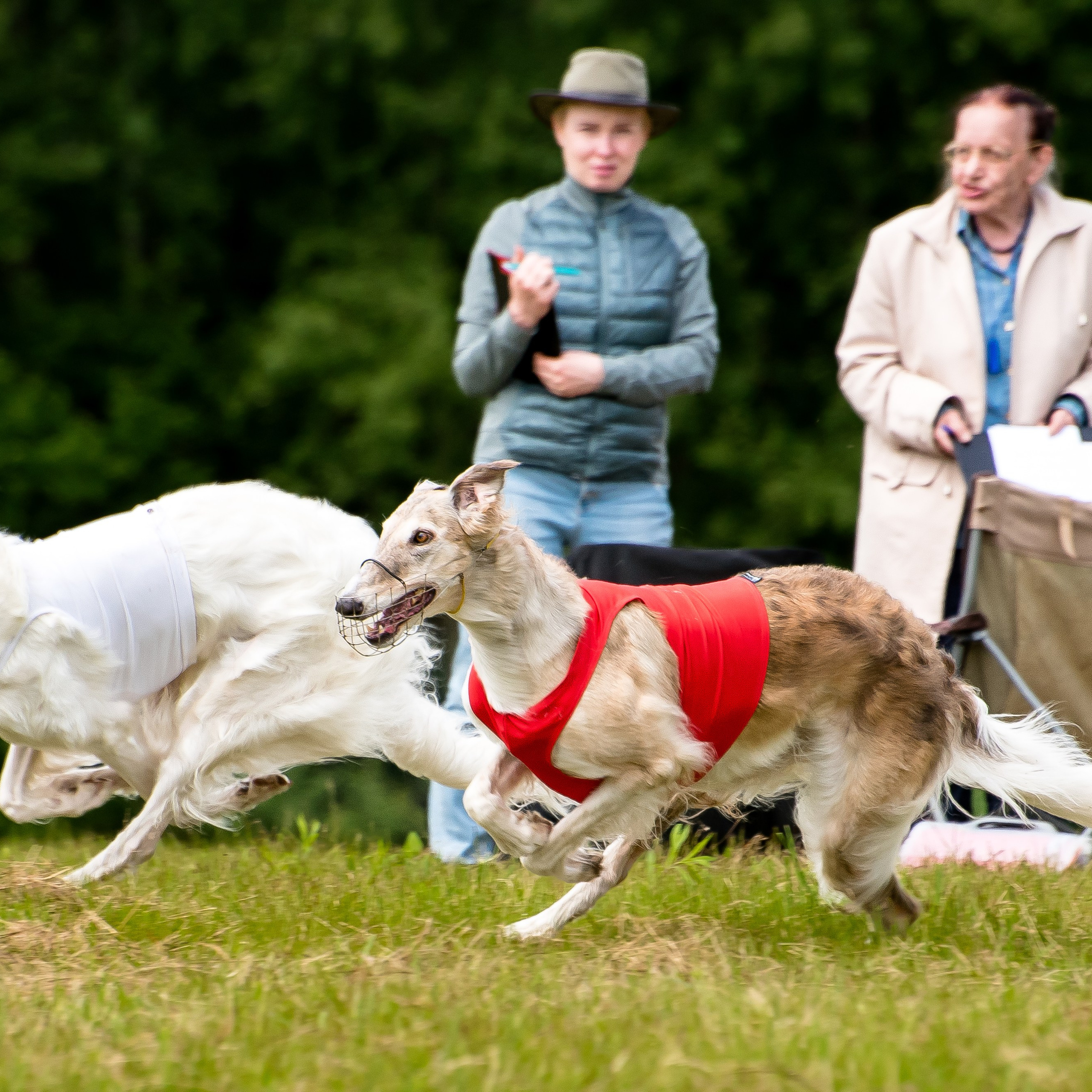 Отзывы на фотосессии съёмки. Фотограф Макс Огурцов в Нижнем Новгороде