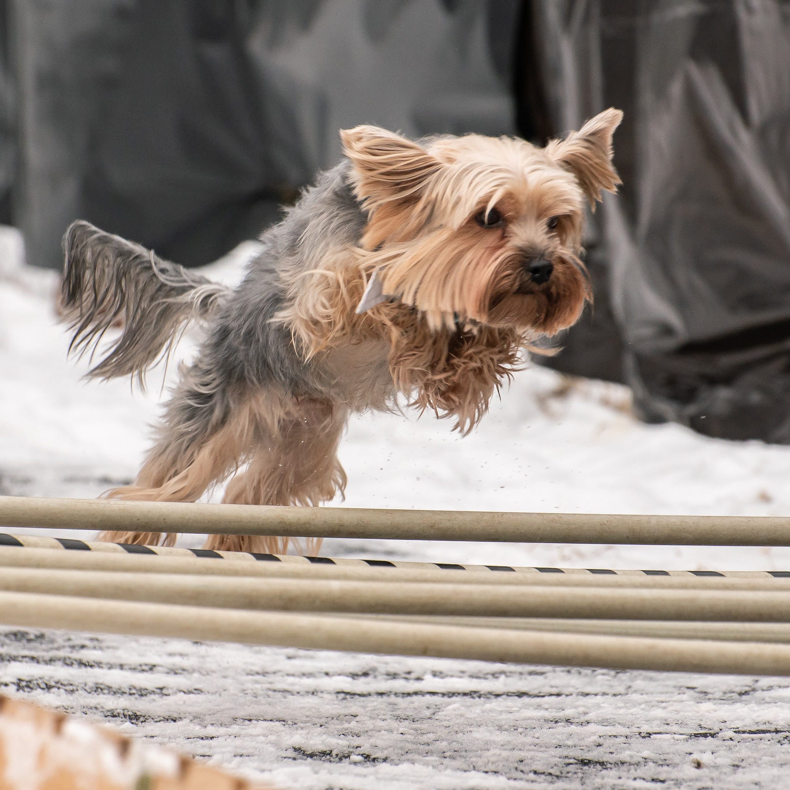Отзывы на фотосессии съёмки. Фотограф Макс Огурцов в Нижнем Новгороде