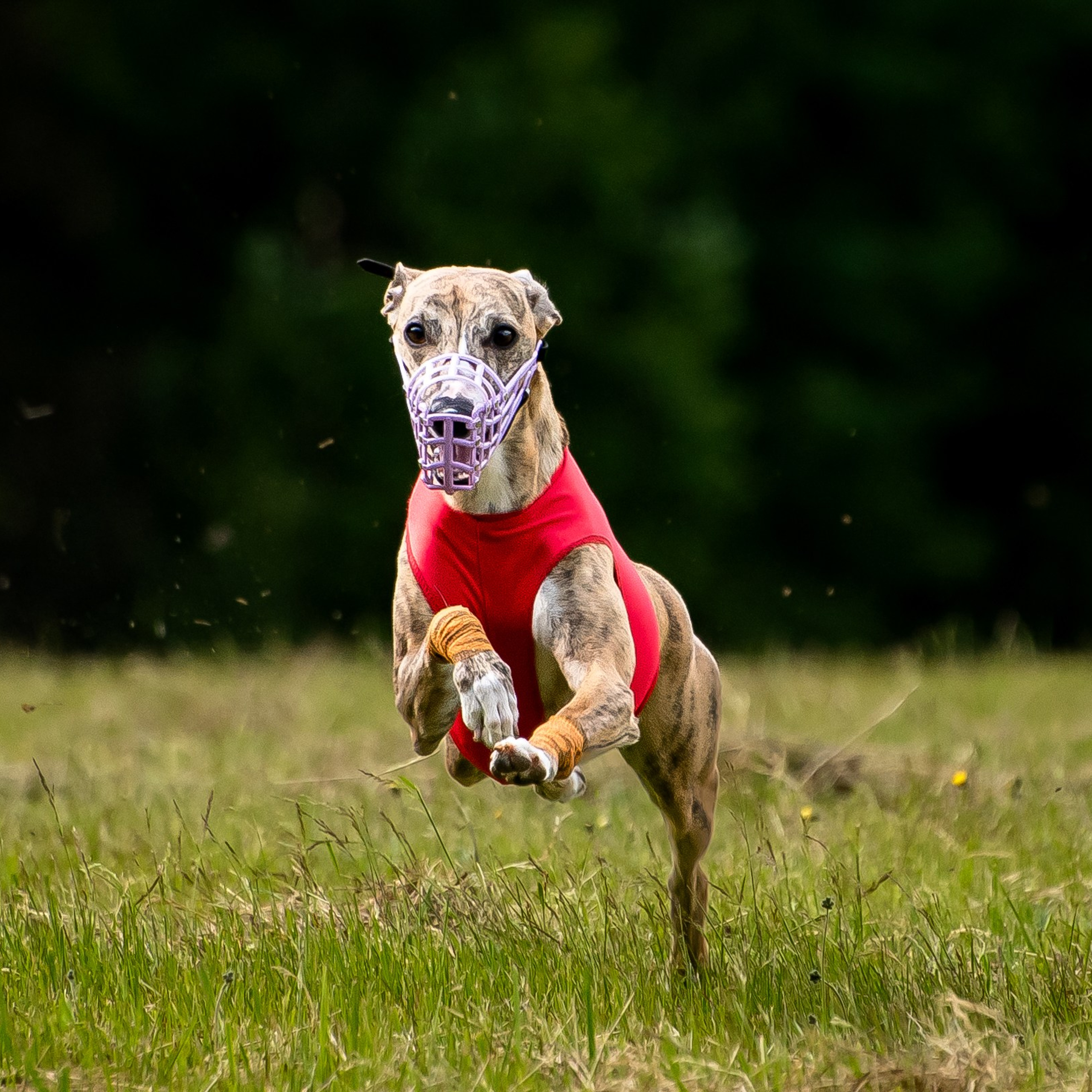 Отзывы на фотосессии съёмки. Фотограф Макс Огурцов в Нижнем Новгороде