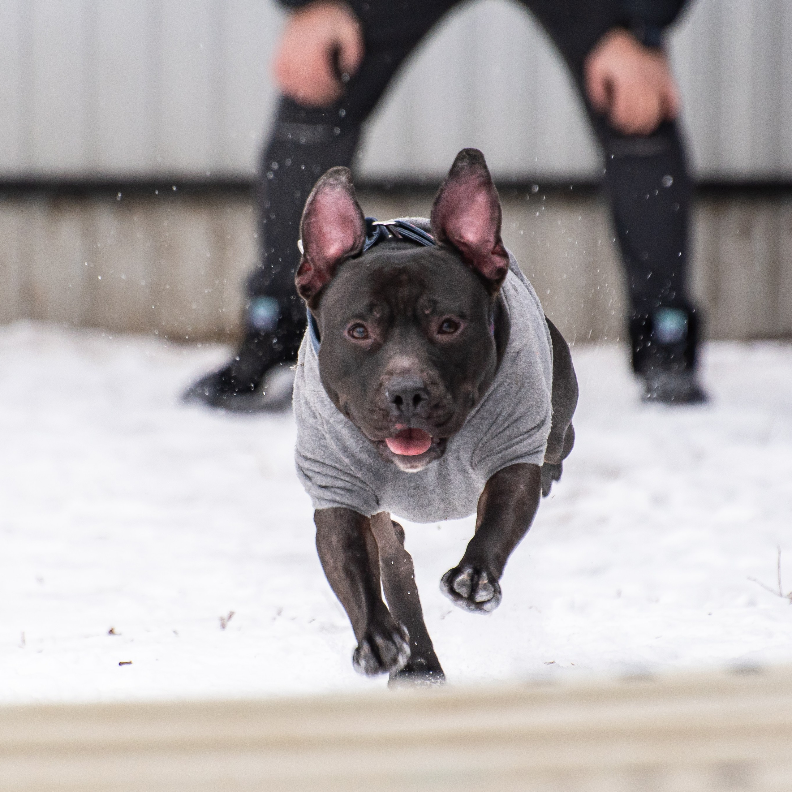 Отзывы на фотосессии съёмки. Фотограф Макс Огурцов в Нижнем Новгороде