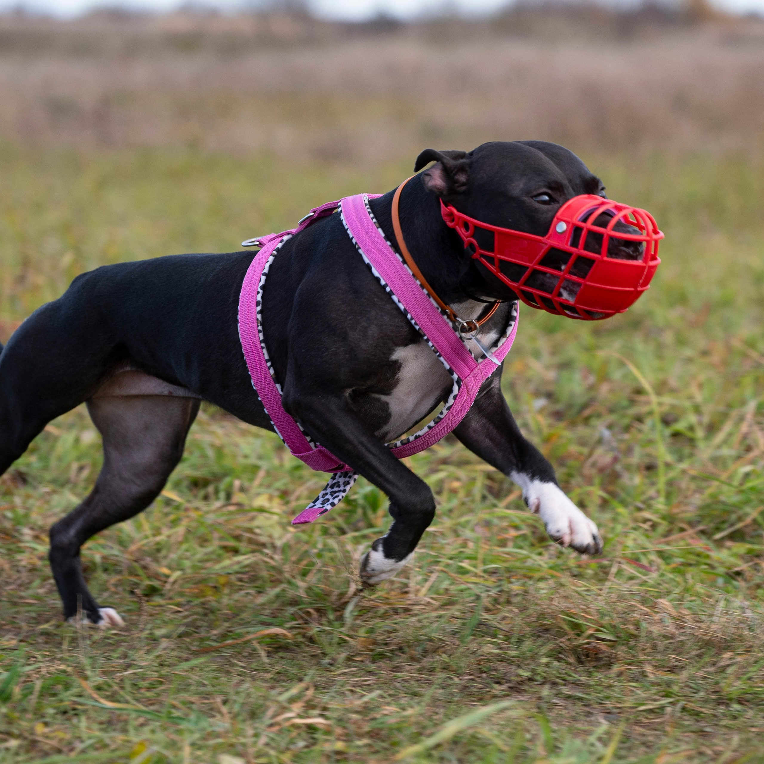 Отзывы на фотосессии съёмки. Фотограф Макс Огурцов в Нижнем Новгороде