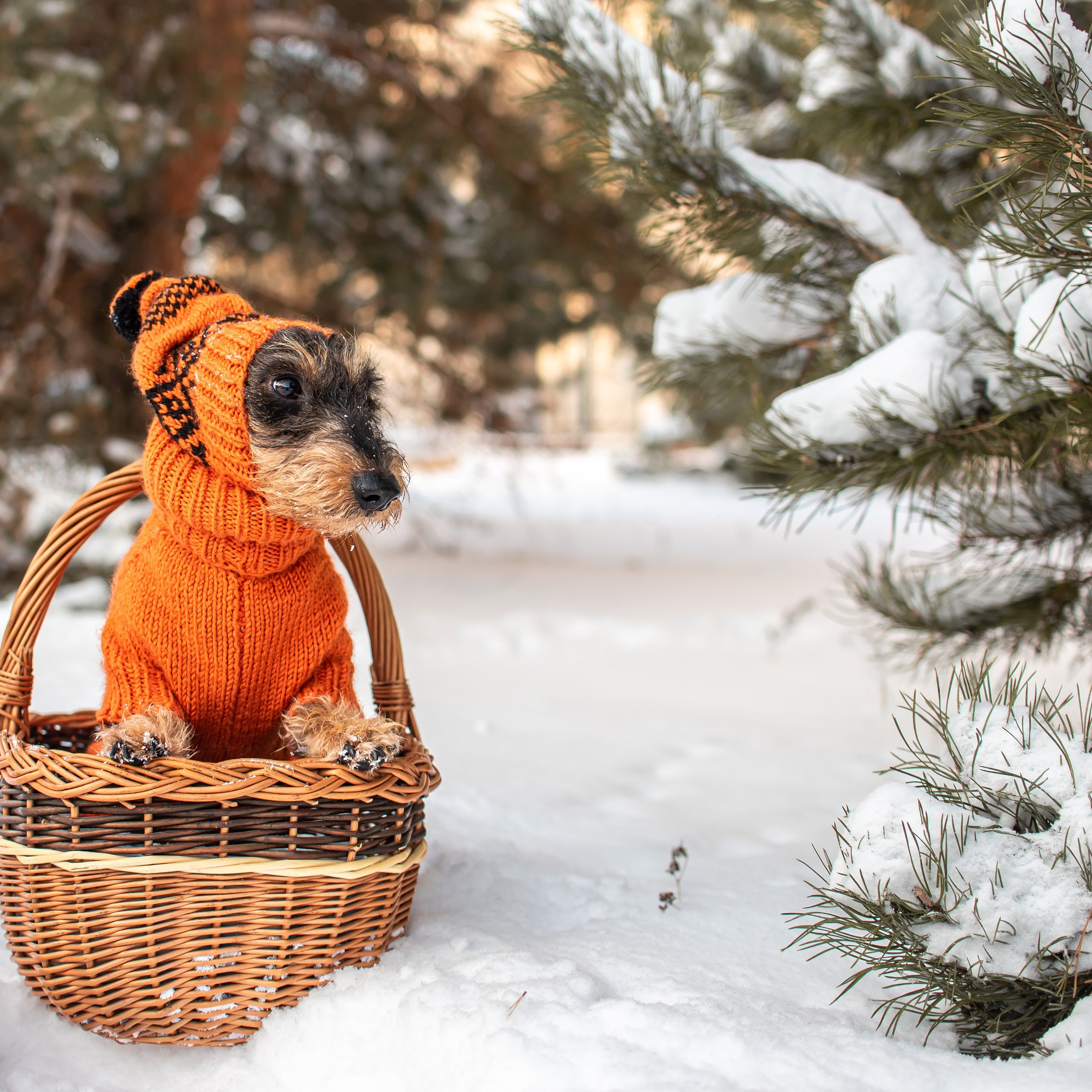 Отзывы на фотосессии съёмки. Фотограф Макс Огурцов в Нижнем Новгороде