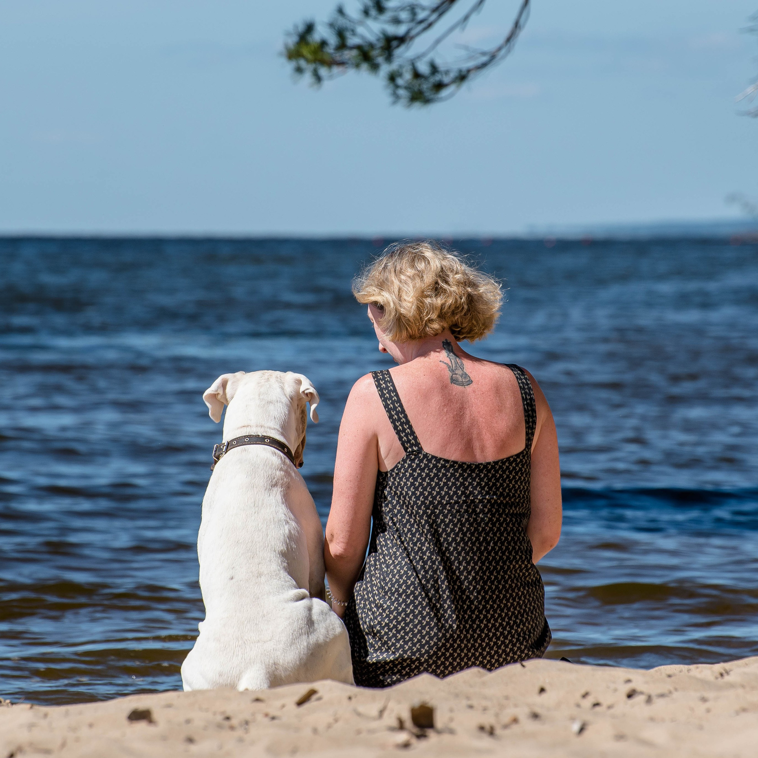 Солнечный день на пляже