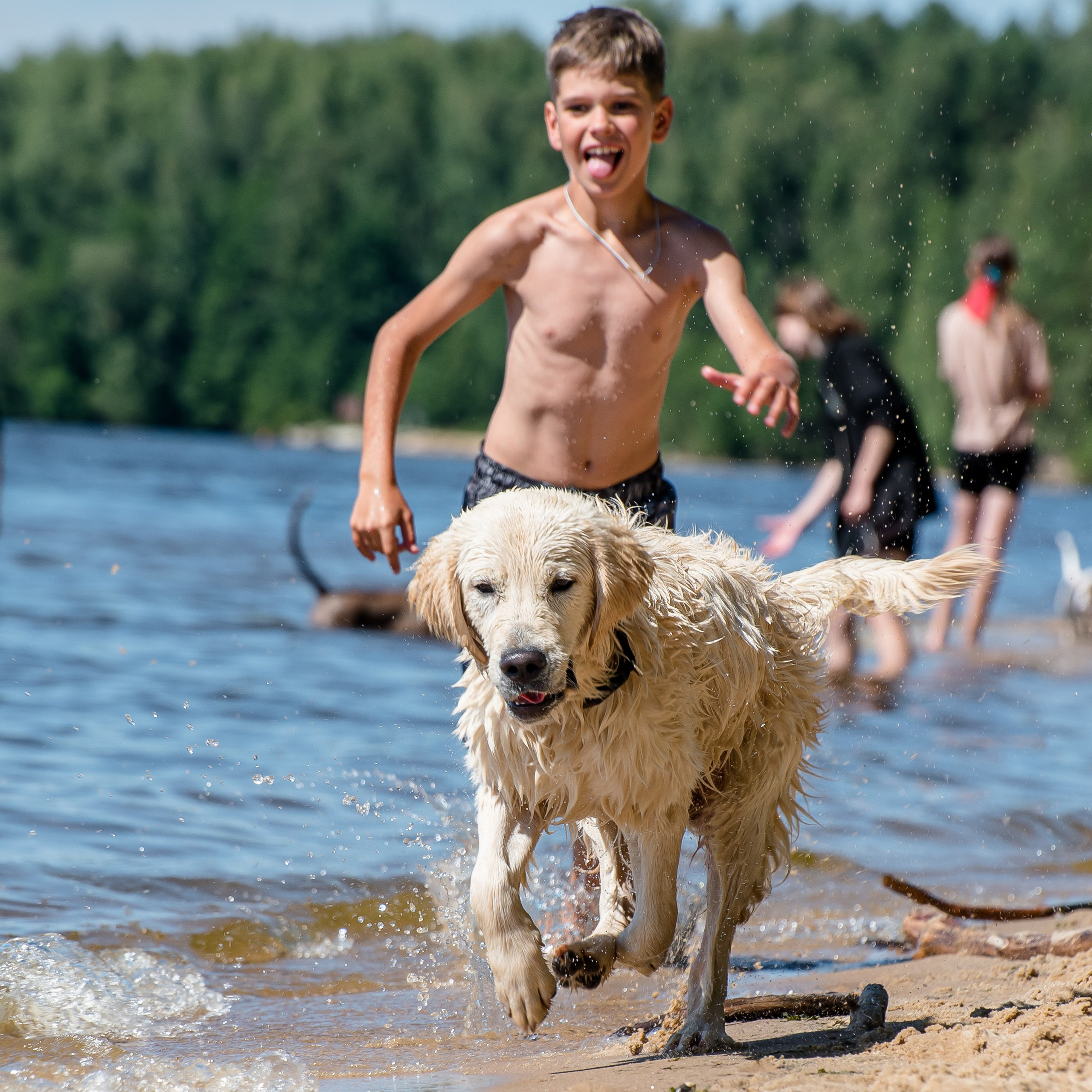 Летнее настроение