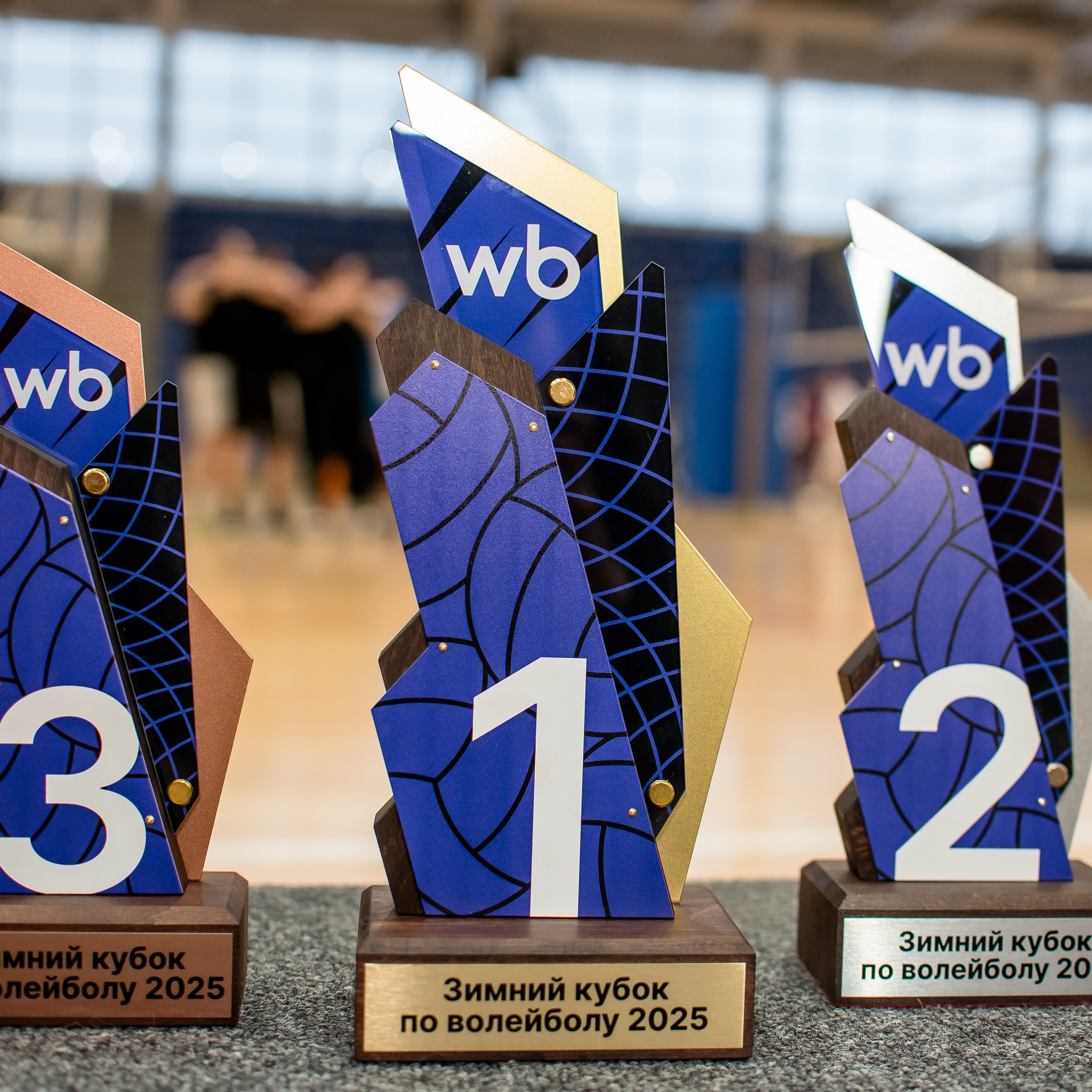 Зимний кубок по волейболу 2025 Wildberries