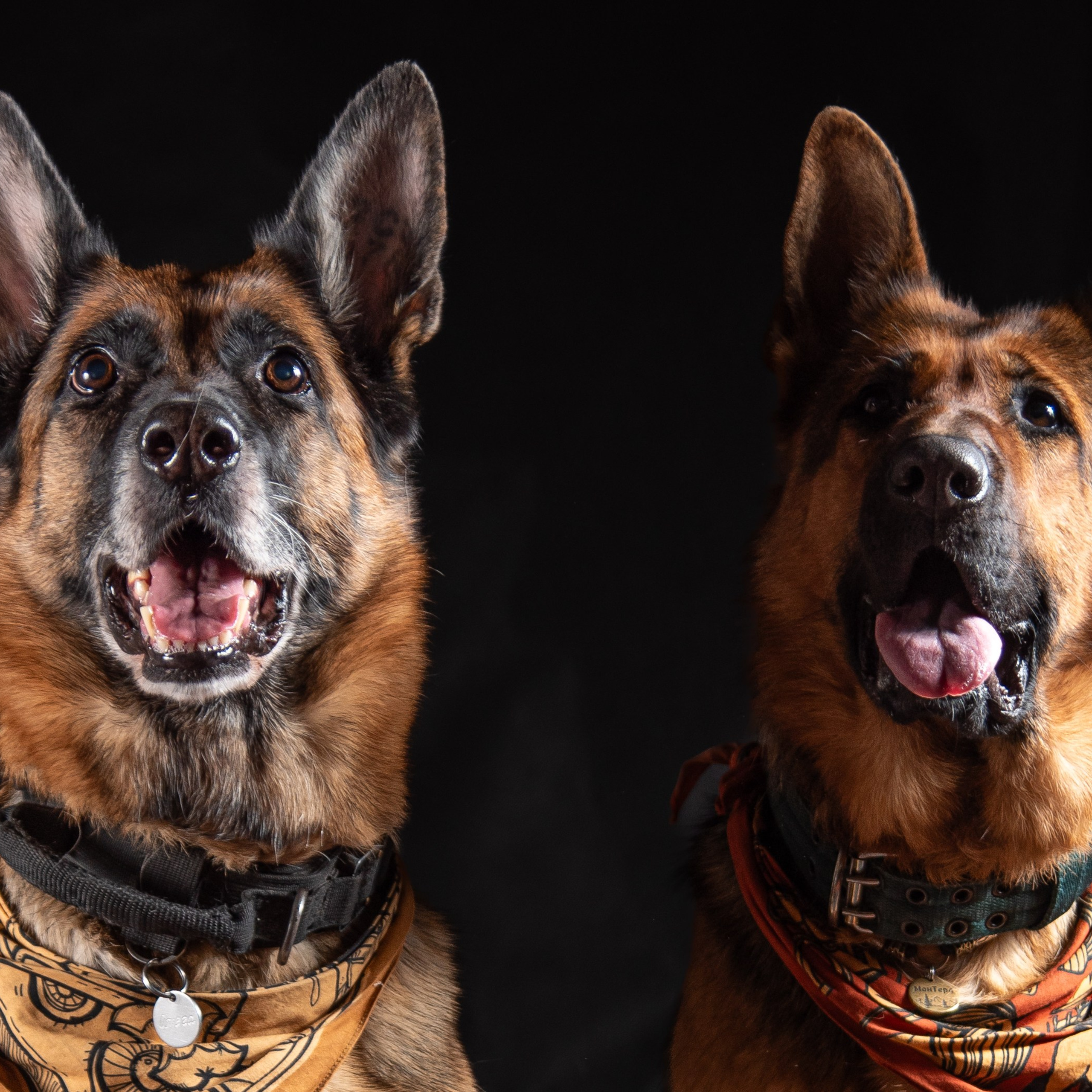 Отзывы на фотосессии съёмки. Фотограф Макс Огурцов в Нижнем Новгороде