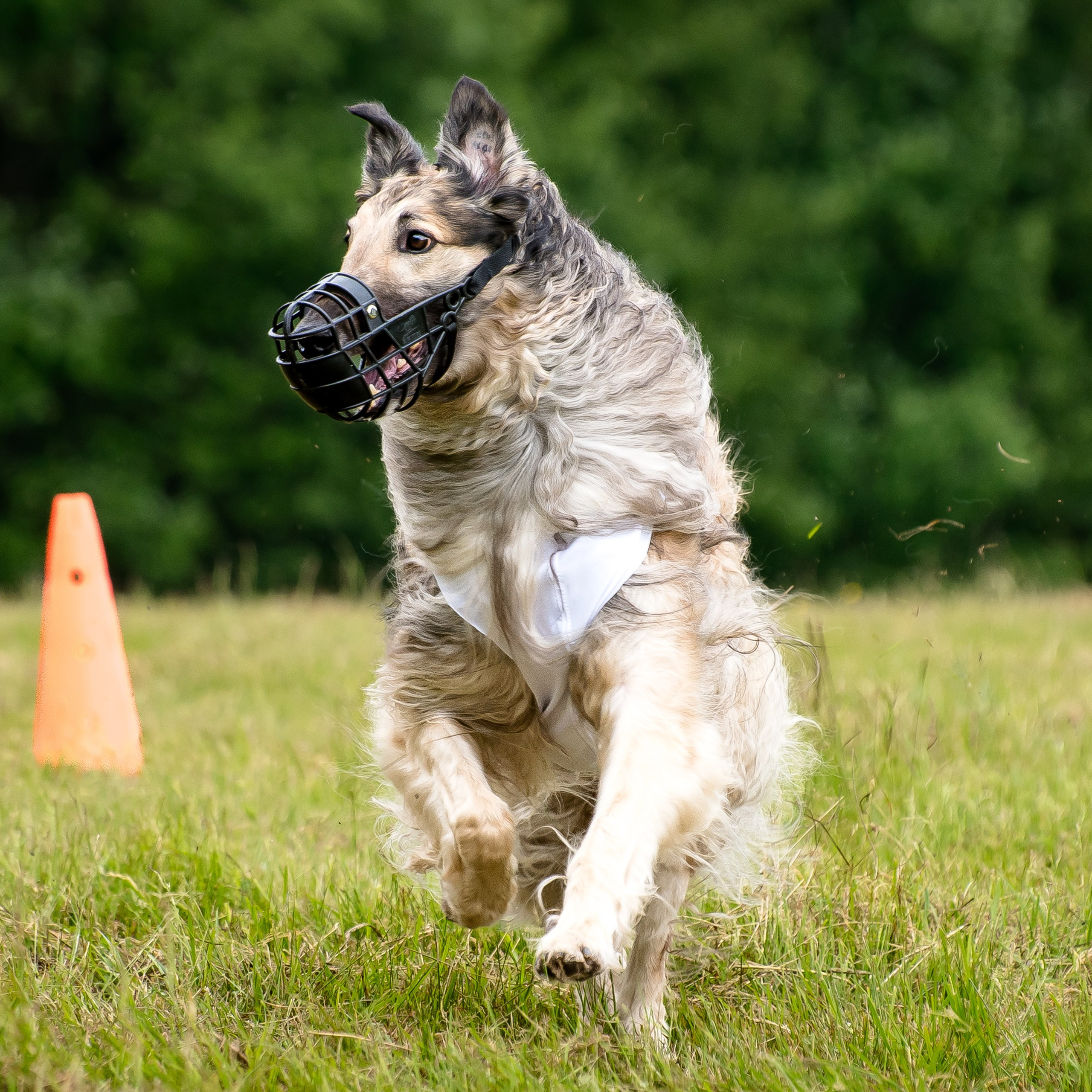 Отзывы на фотосессии съёмки. Фотограф Макс Огурцов в Нижнем Новгороде