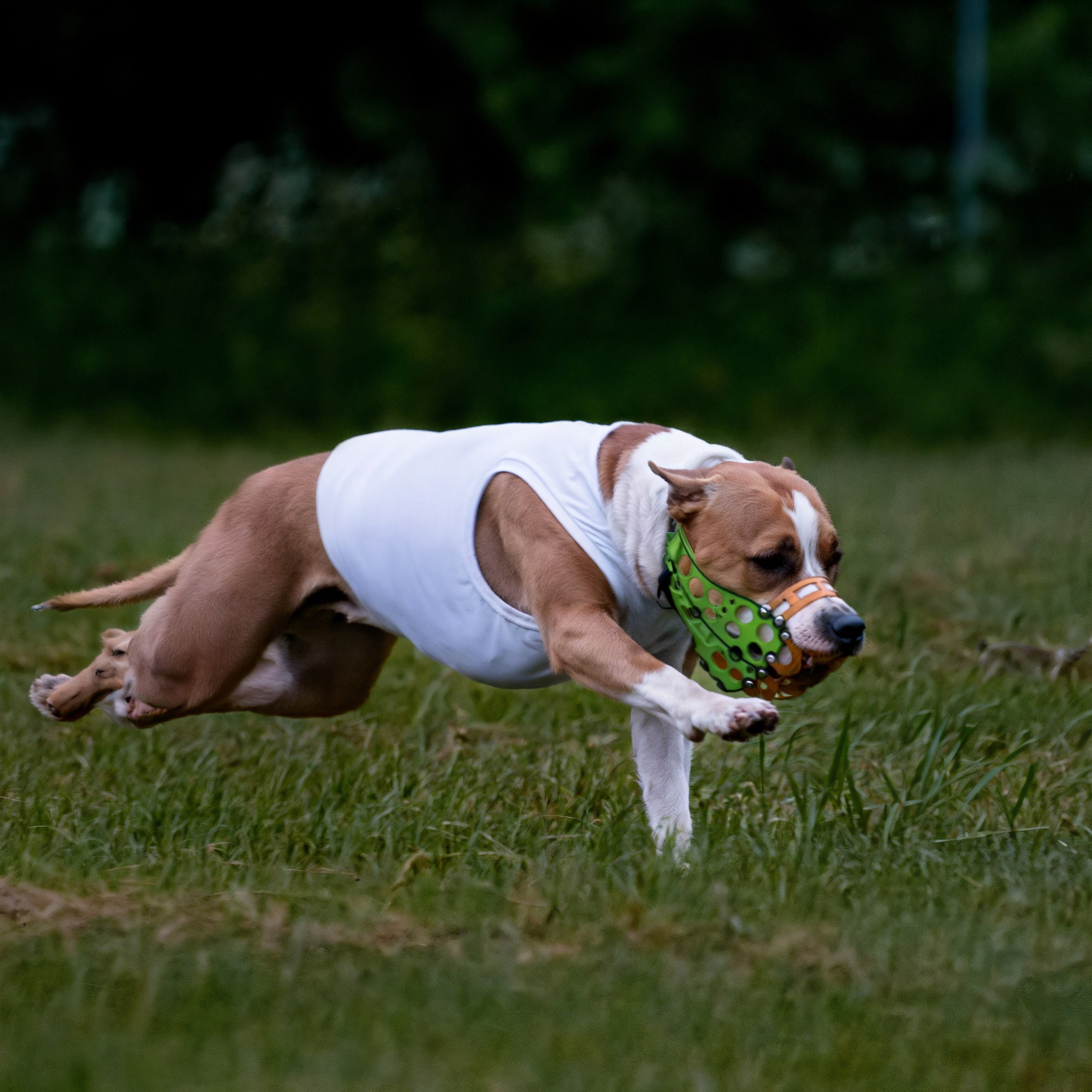 Отзывы на фотосессии съёмки. Фотограф Макс Огурцов в Нижнем Новгороде