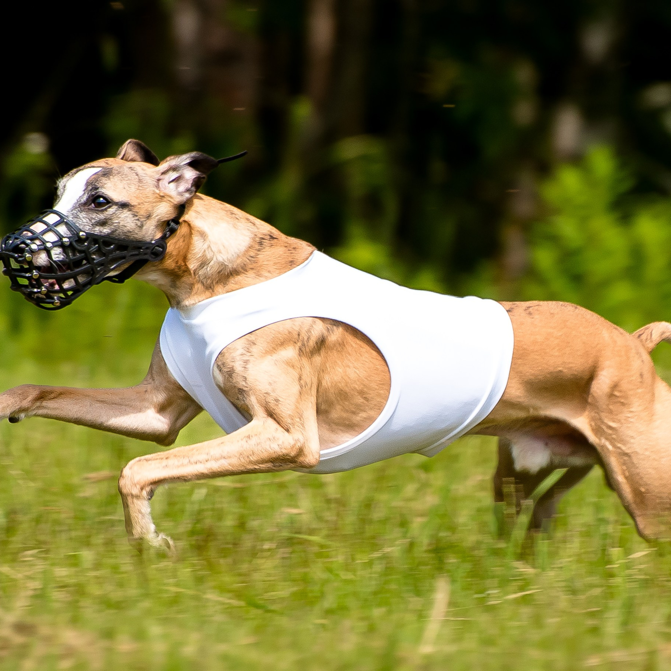 Отзывы на фотосессии съёмки. Фотограф Макс Огурцов в Нижнем Новгороде