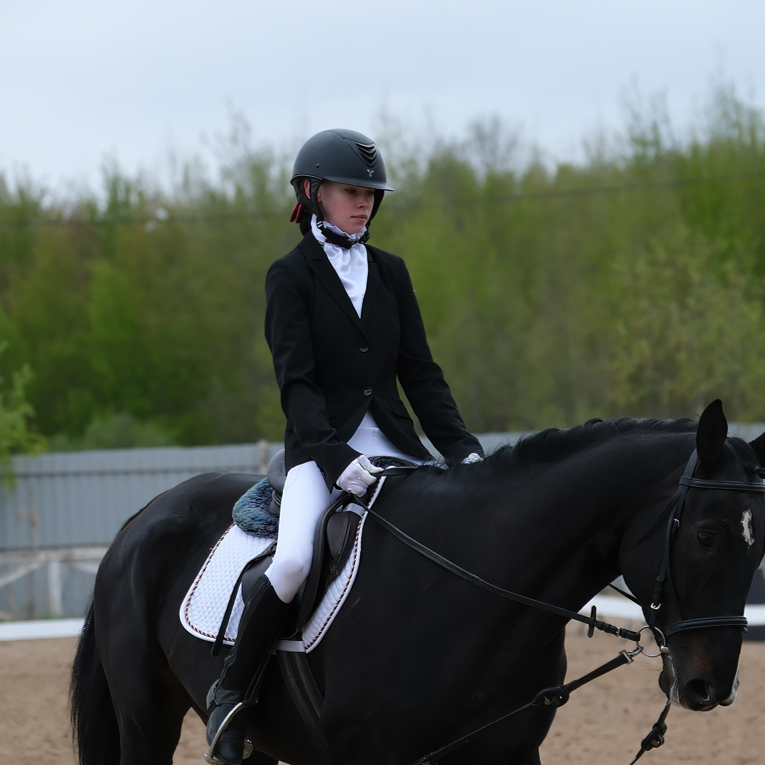 Соревнования по конному спорту в КСК «АЛЛЮР»!