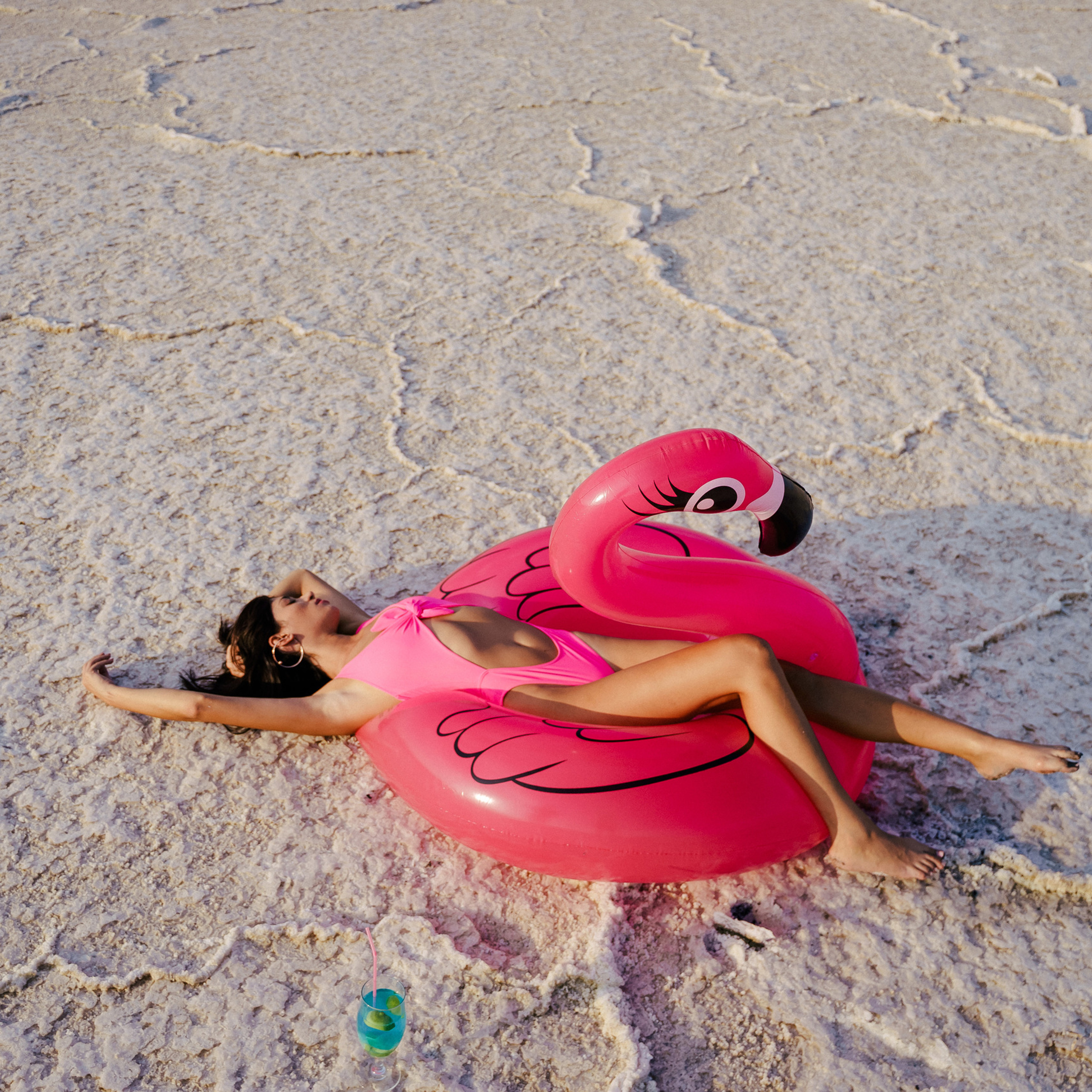 Мечты о розовом фламинго