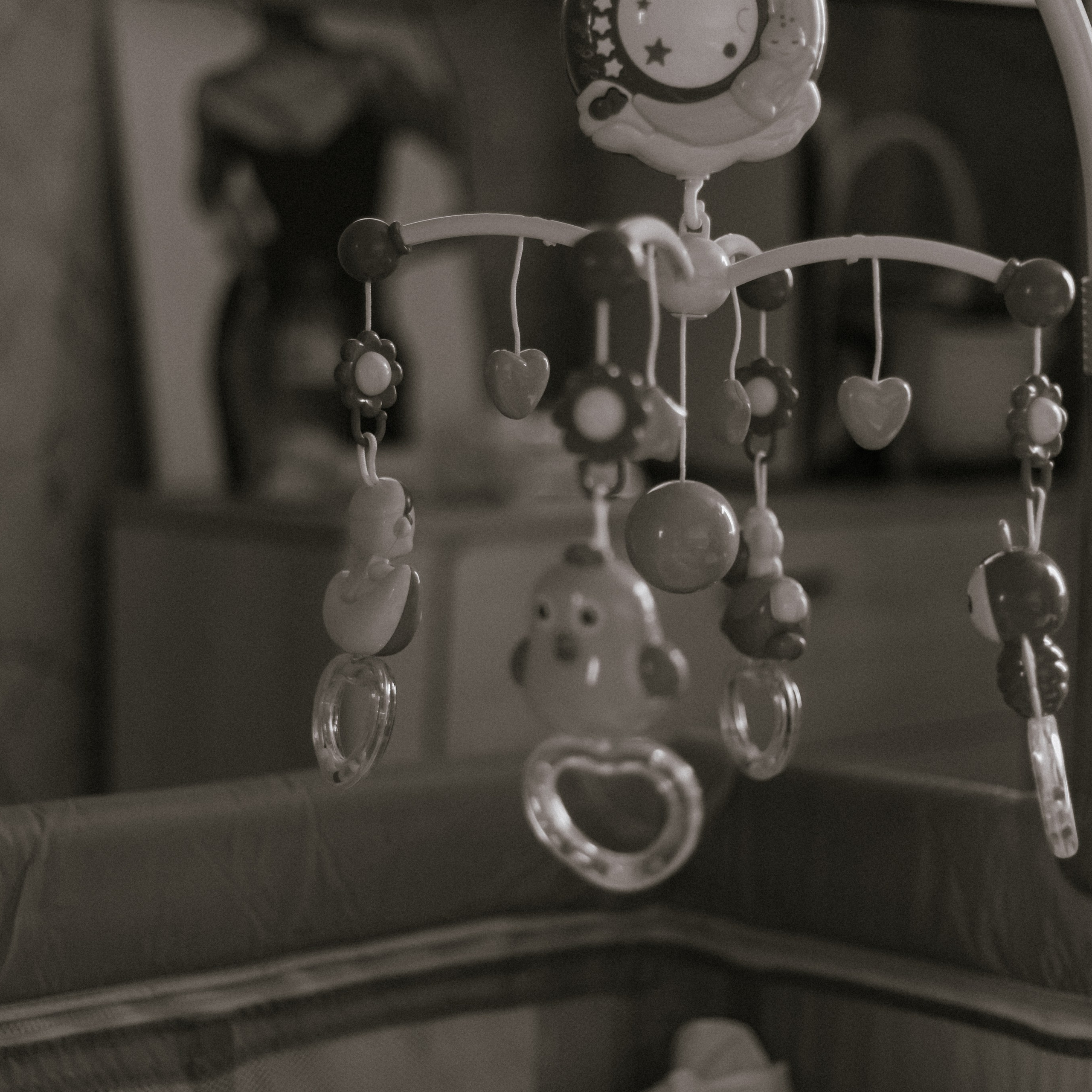 Семья Мелиховых. Фотограф Акимова Дарья Санкт-Петербург, Михайловка