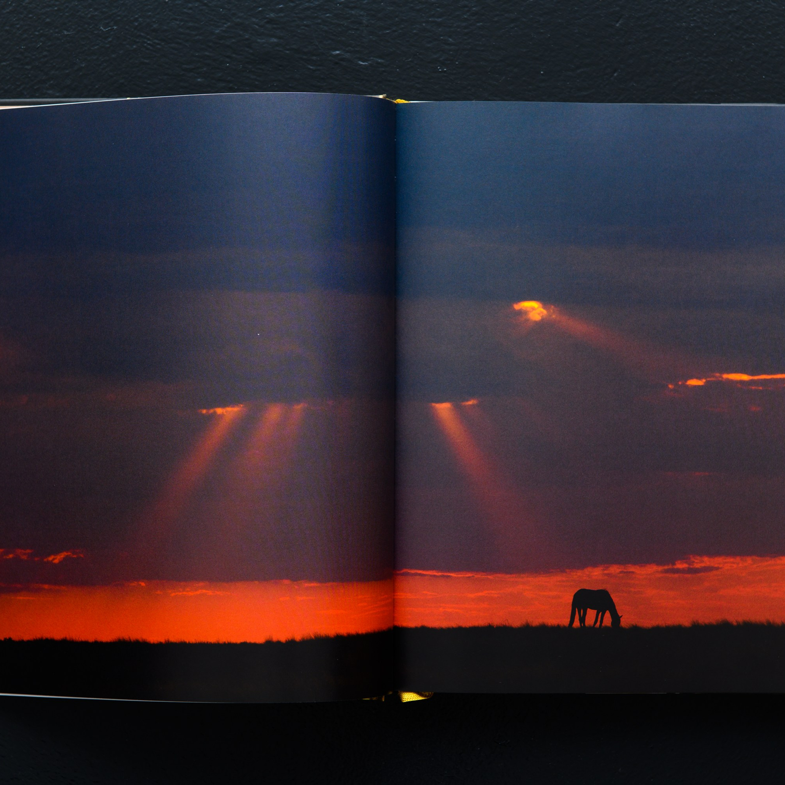 Фотосъёмка предметов кочевников Евразийской степи для каталога выставки в  Историческом музее в Москве. Предметный Интерьерный фотограф в Москве Сапожников Георгий