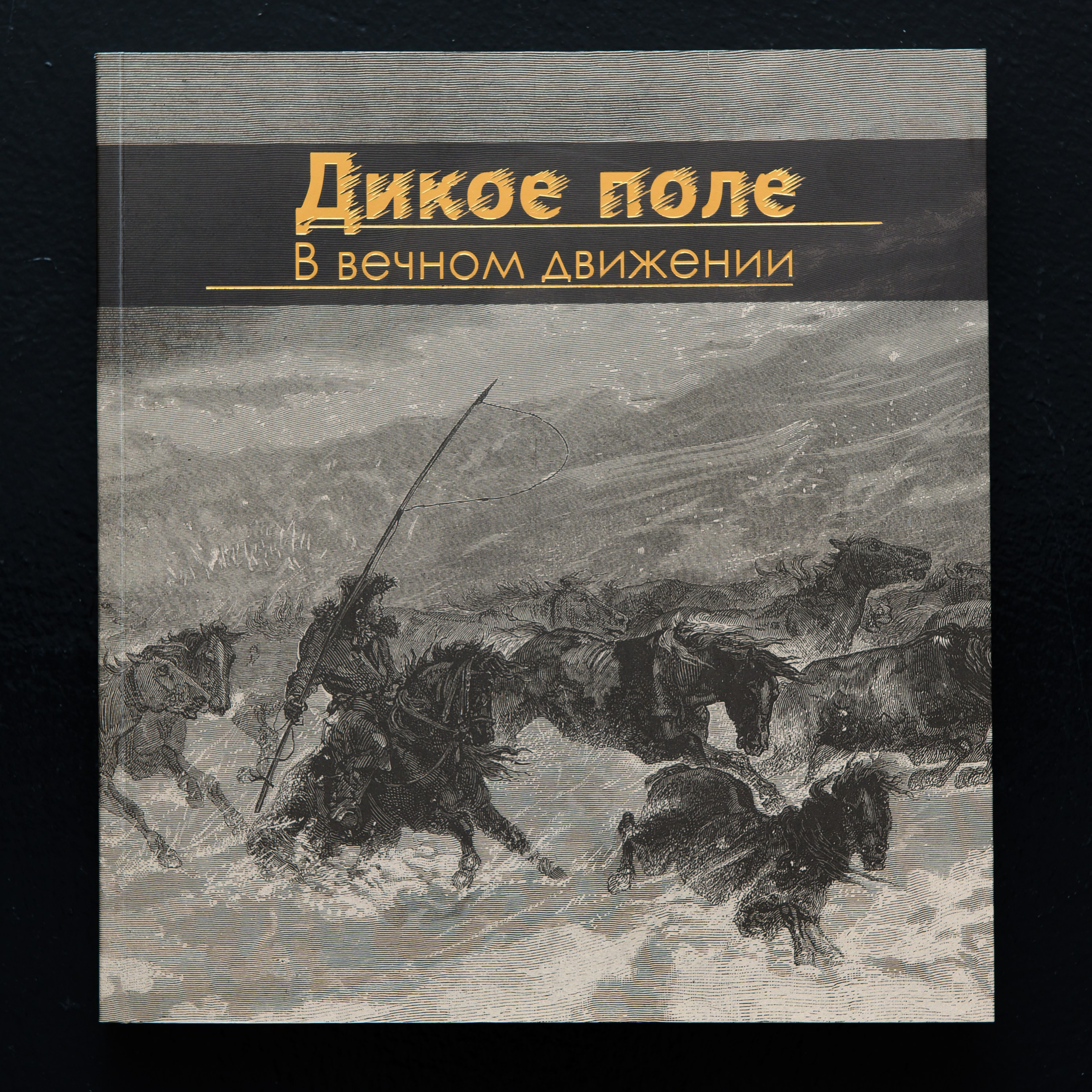 Дикое поле. В вечном движении.