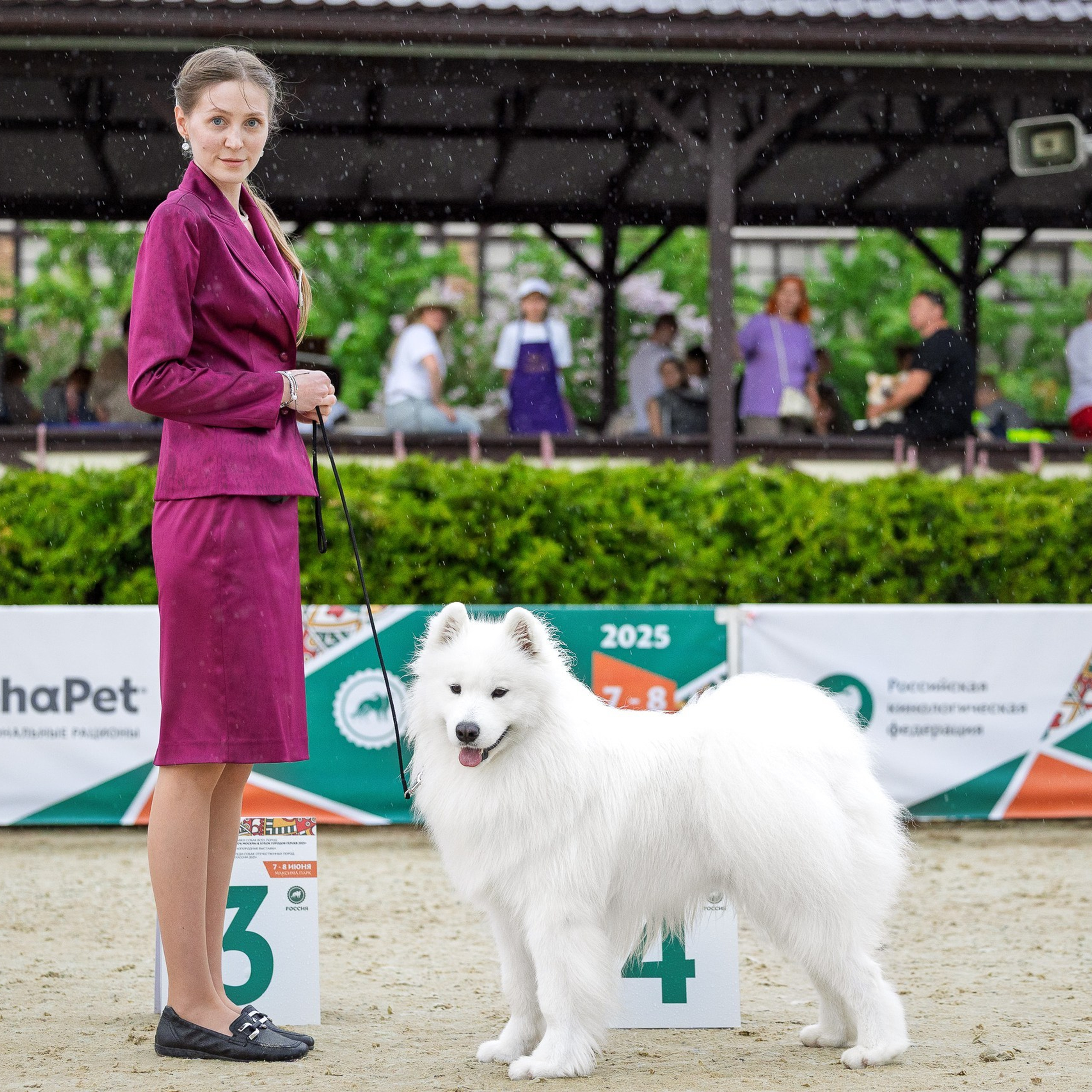Отзывы. Фотограф анималист, семейный фотограф, фотограф собак Комратова Мария. г. Москва