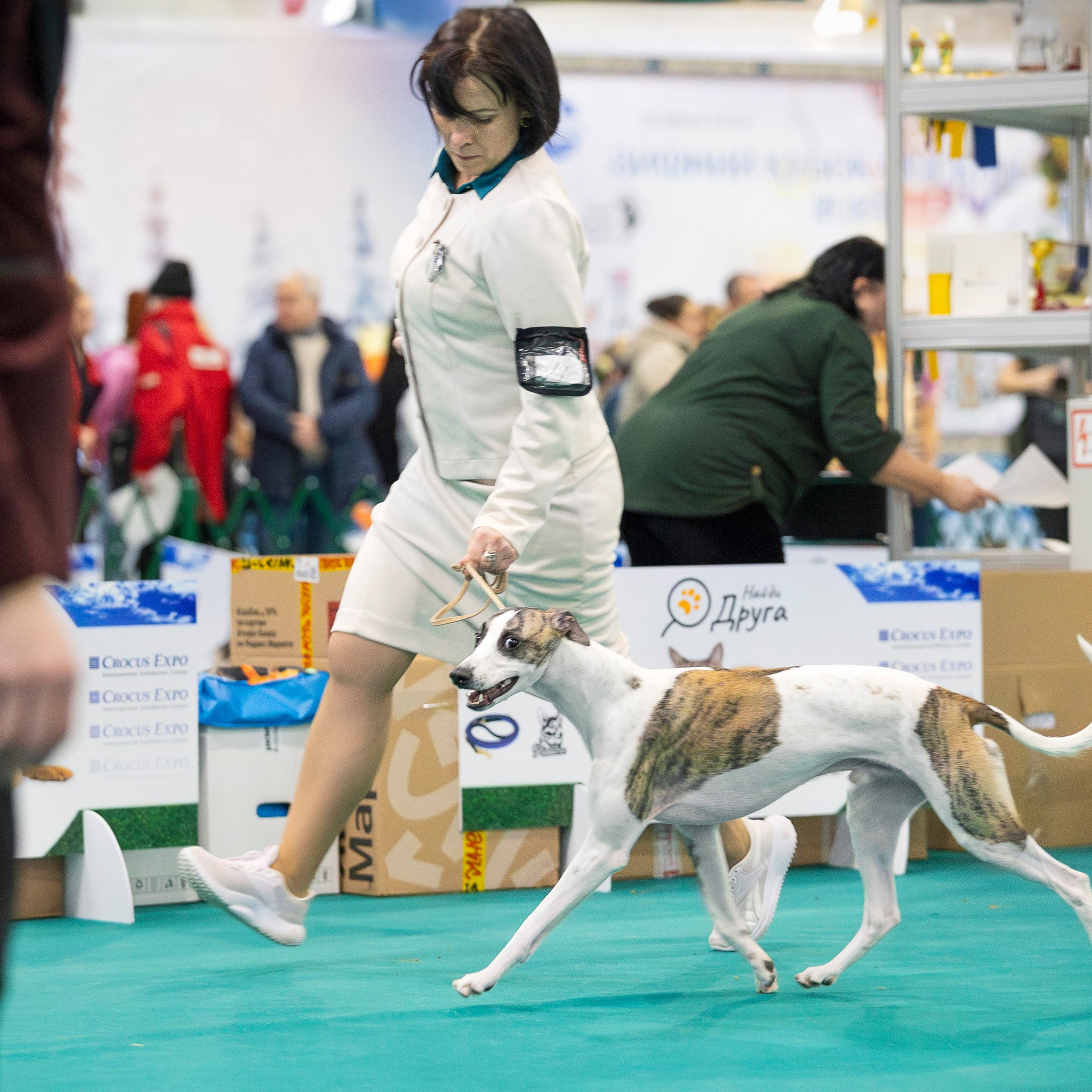 Отзывы. Фотограф анималист, семейный фотограф, фотограф собак Комратова Мария. г. Москва