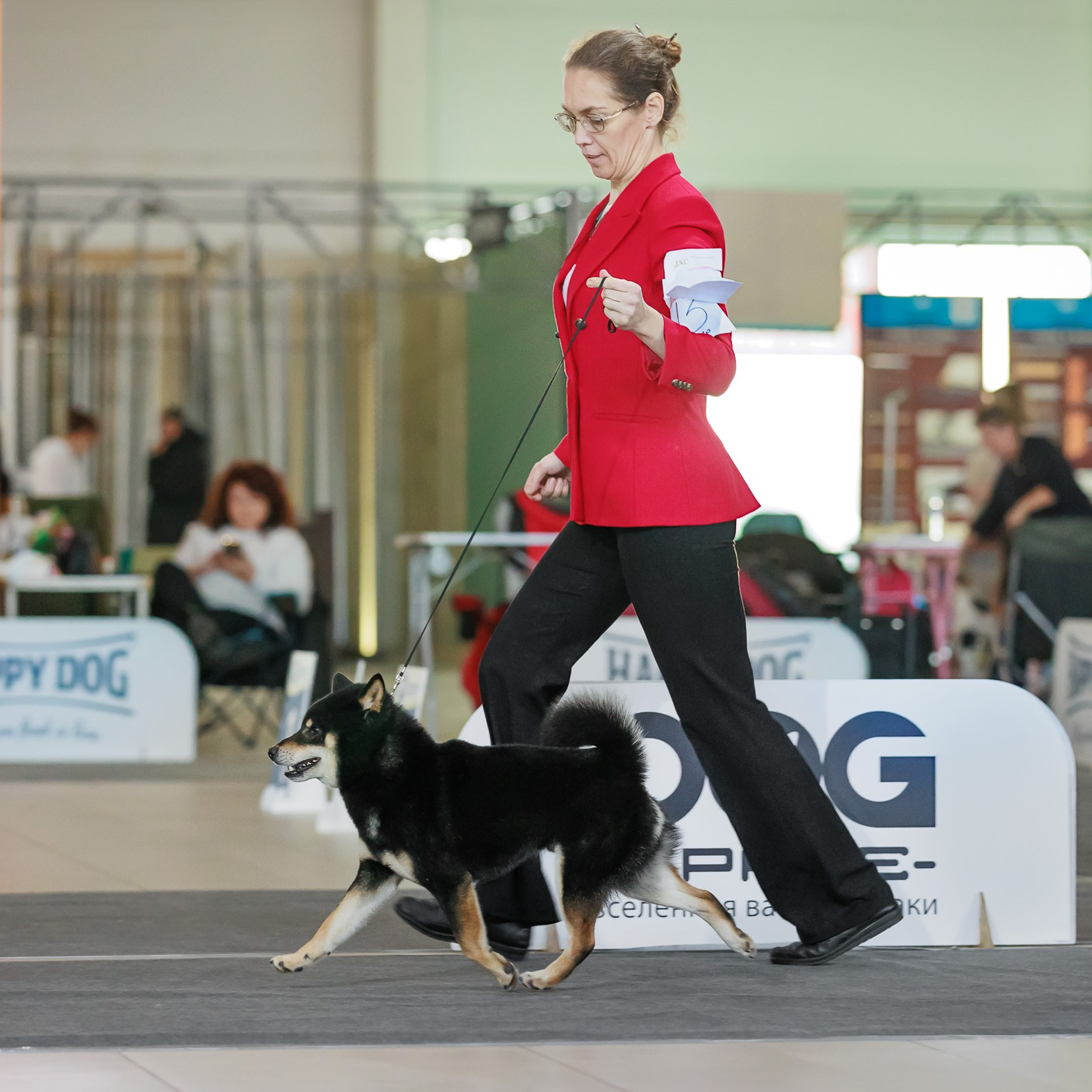 Отзывы. Фотограф анималист, семейный фотограф, фотограф собак Комратова Мария. г. Москва