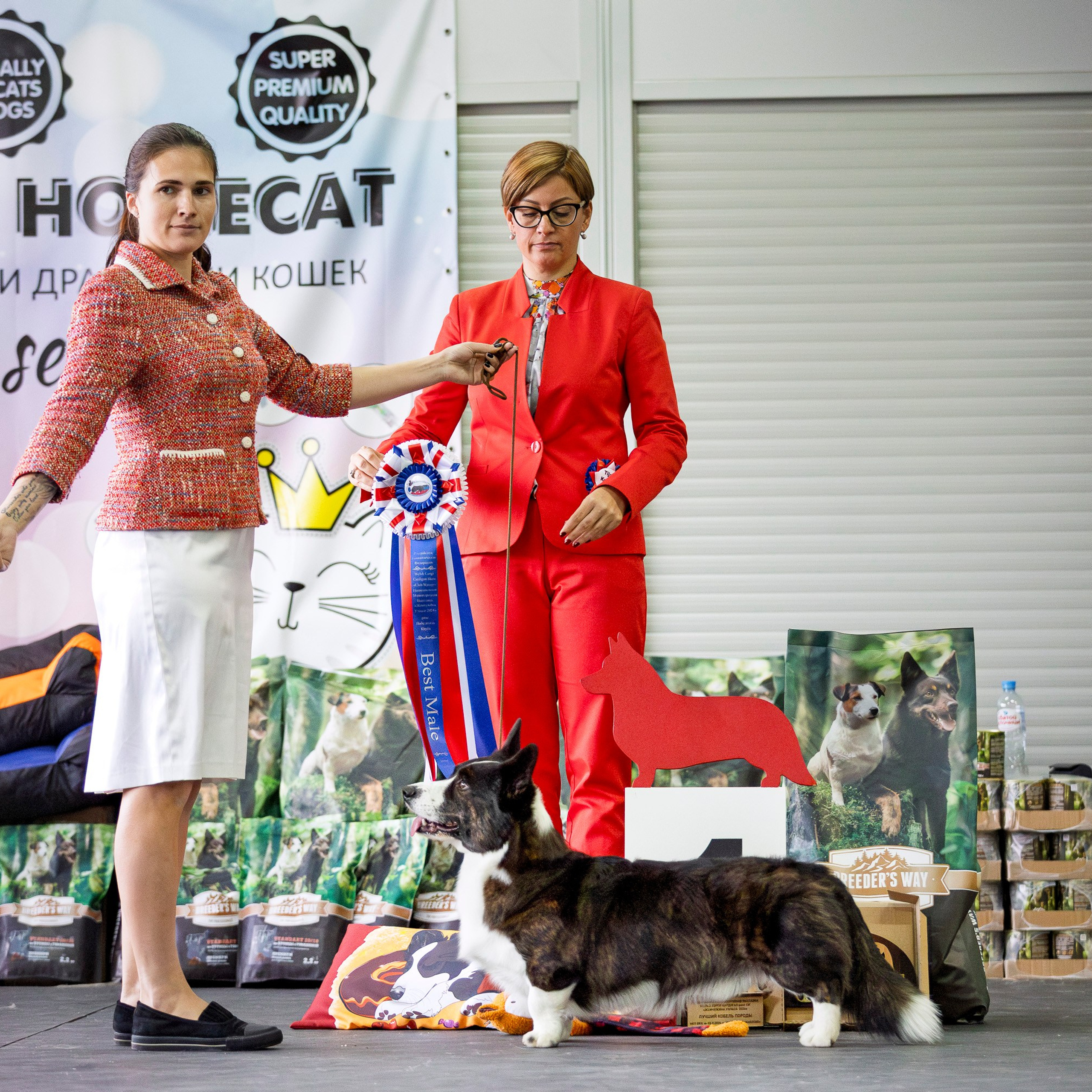 Националка ВКК 2024