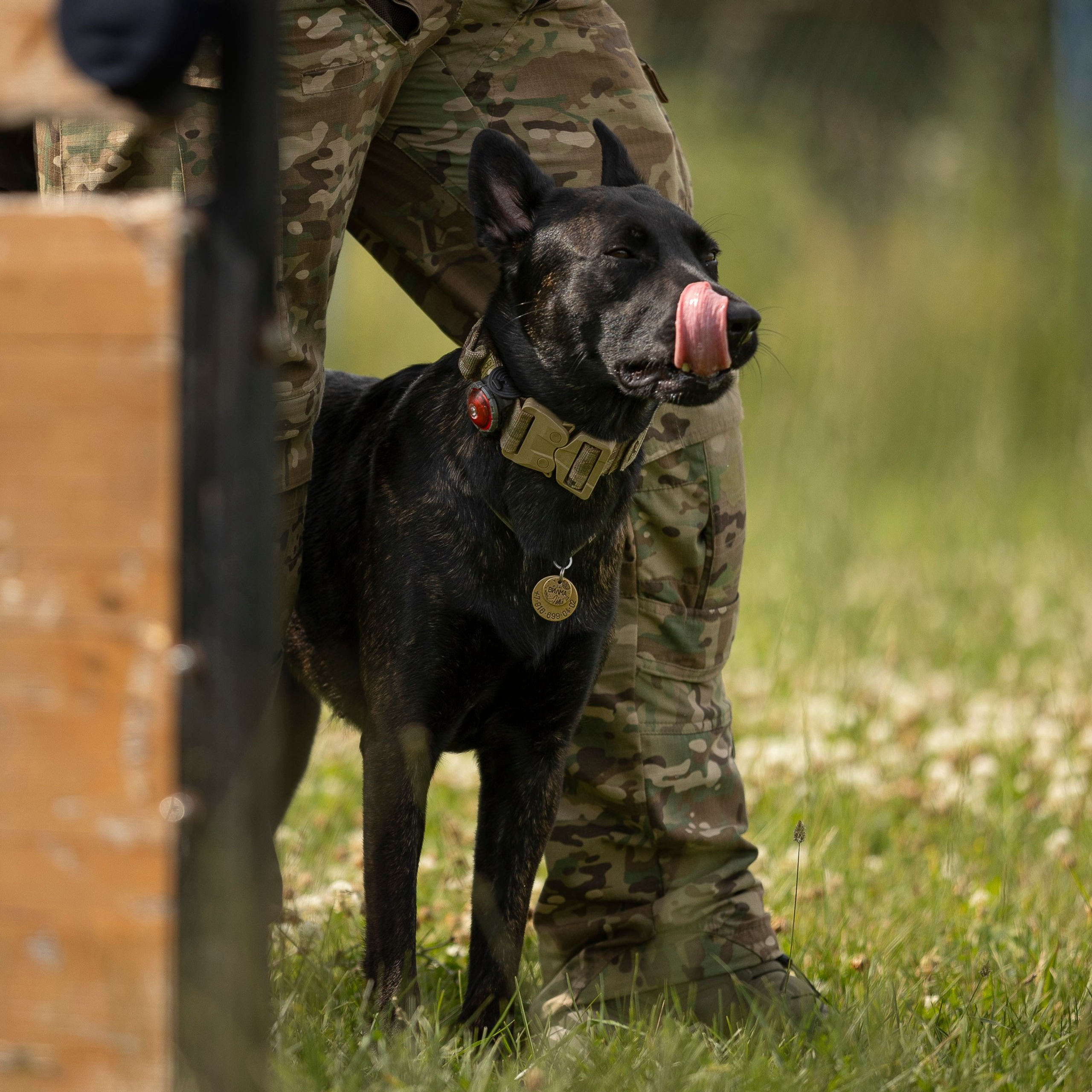 Семинар по поиску ВВ