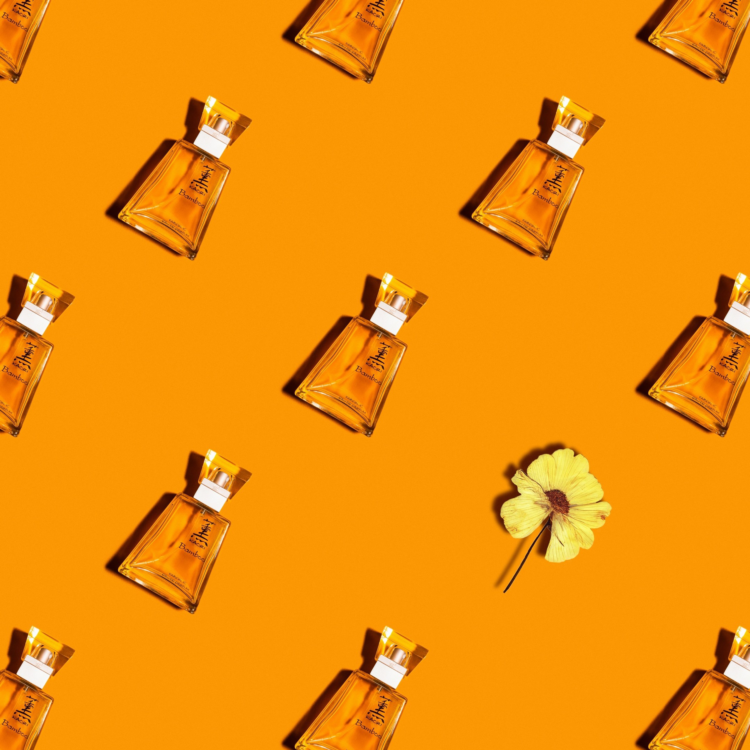 фотосъемка для ленты Instagram, фотосъемка контента