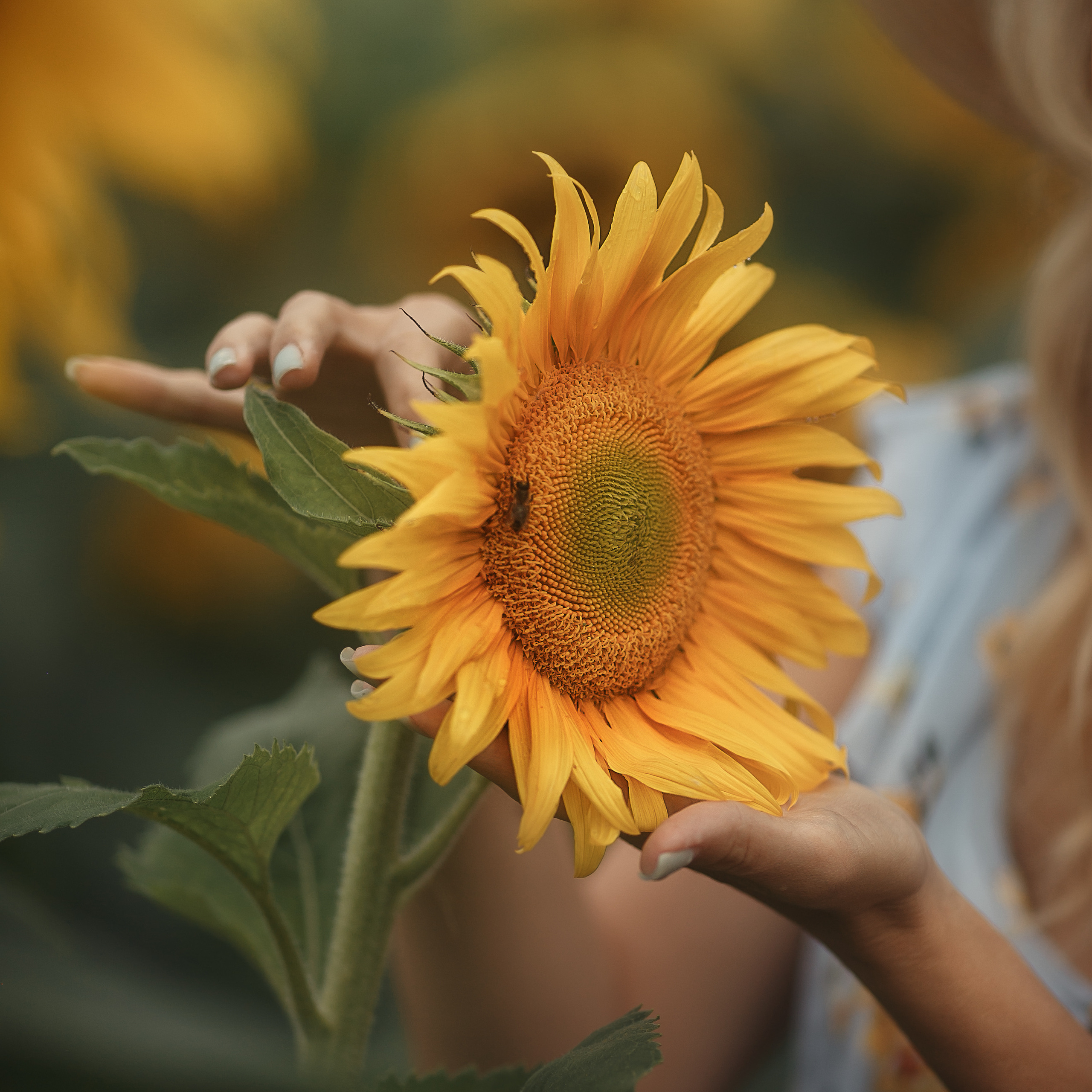 Отзывы. Фотограф беременности и семейный фотограф в Могилеве, Минске Елена Шин