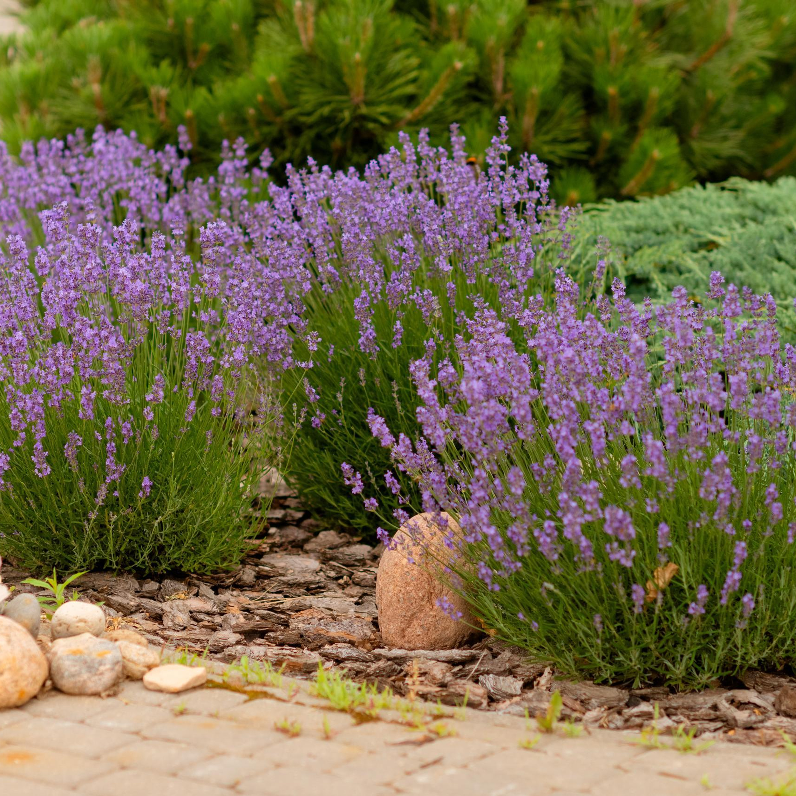 Отзывы. Фотограф в Минске