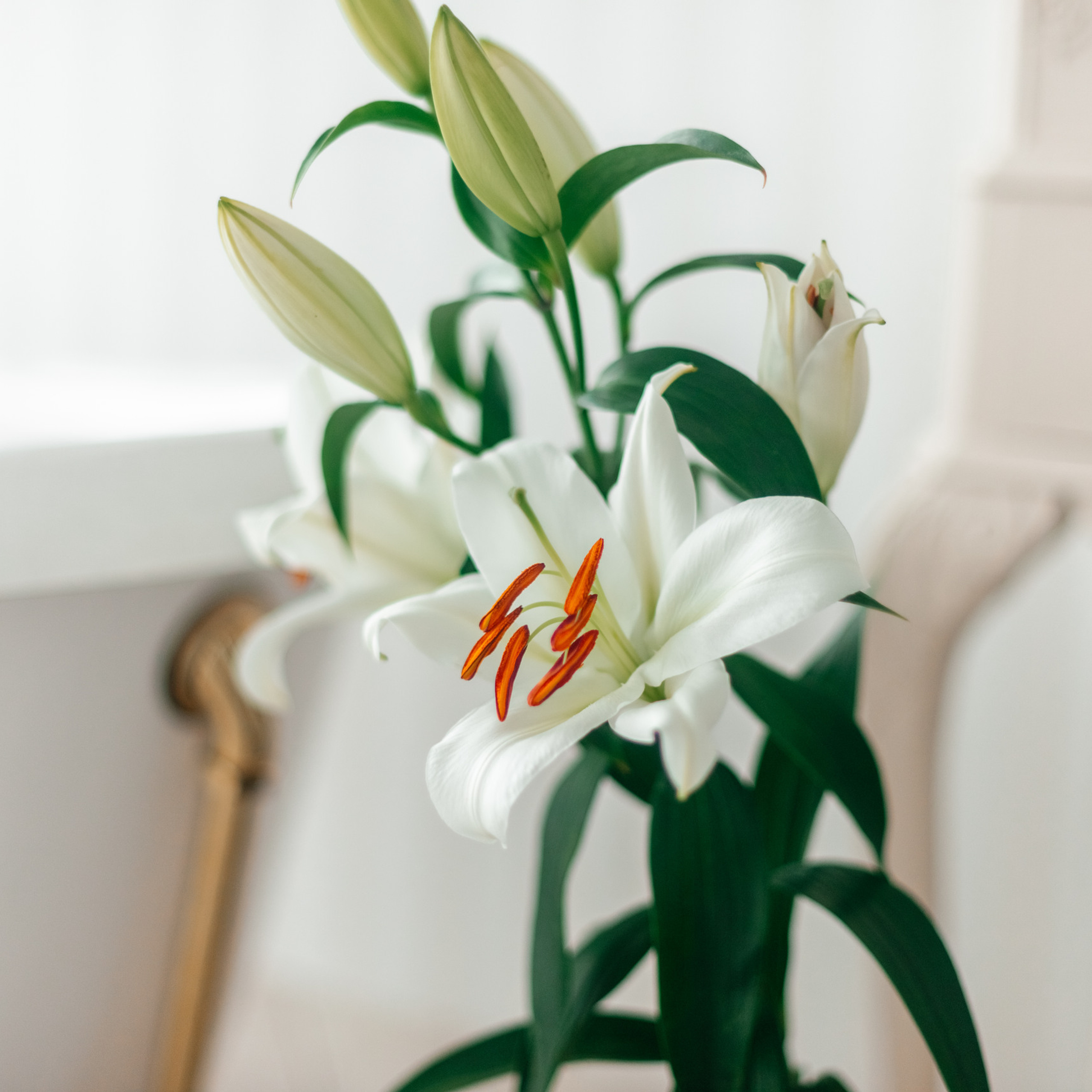 Отзывы. Фотограф в Минске