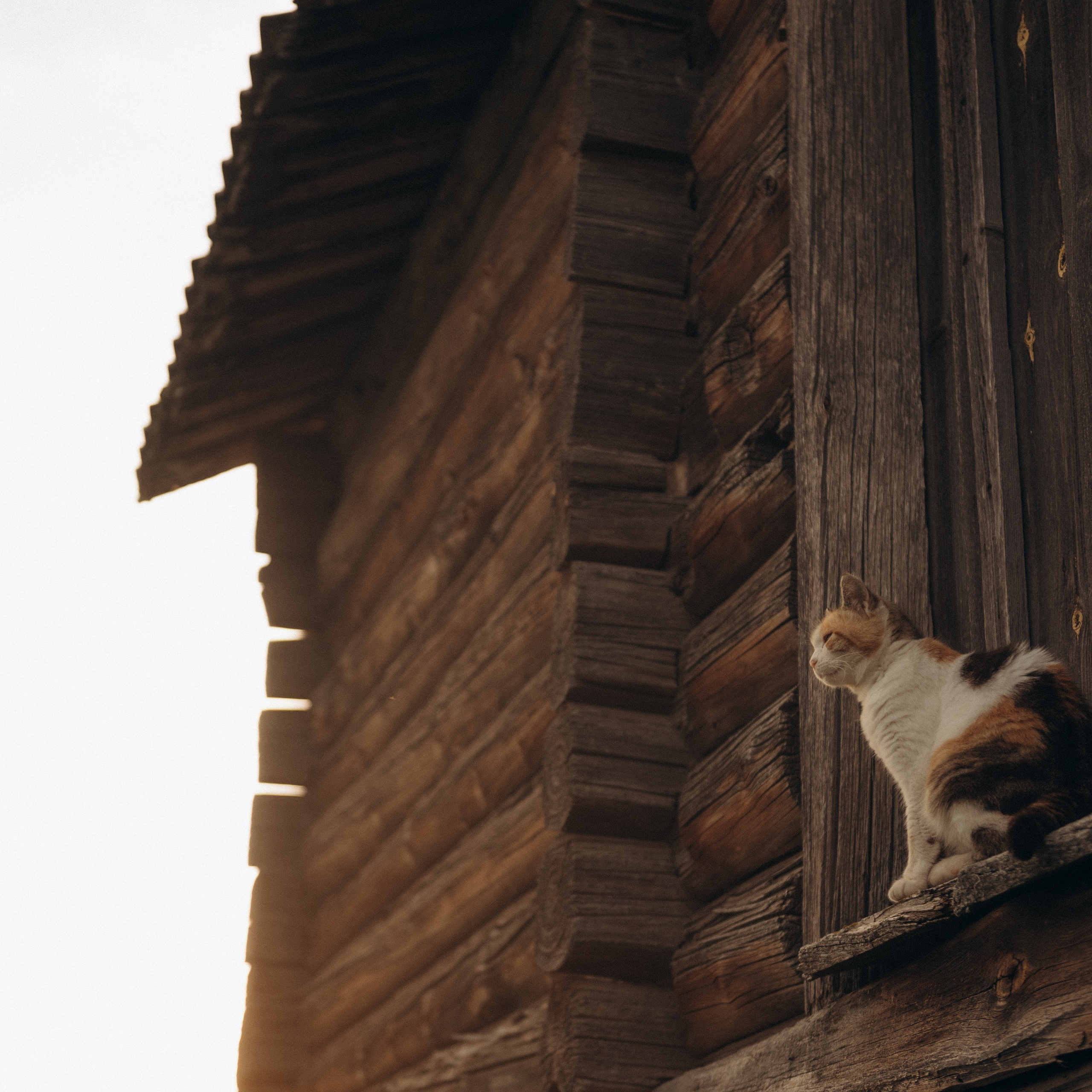 Отзывы. Семейный домашний фотограф Юлия Власова, город Архангельск